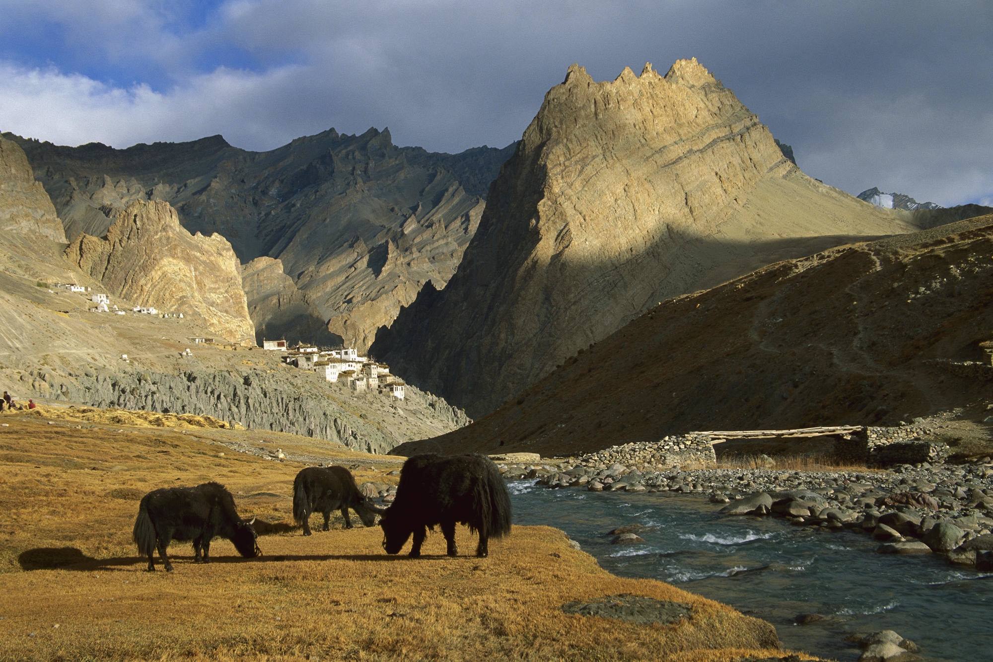 Free HD asia, animals, nature, rivers, mountains, pasture