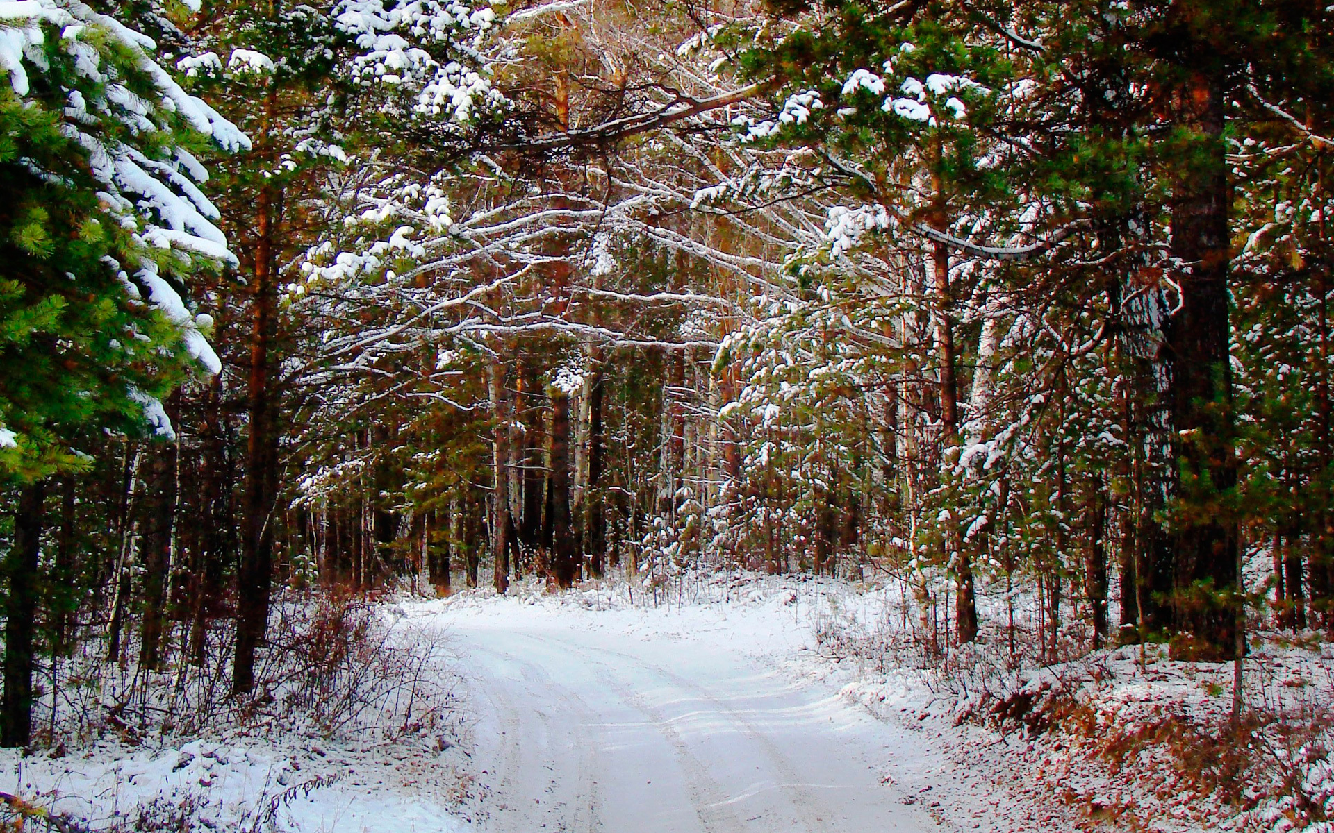 Скачать обои бесплатно Деревья, Снег, Дороги, Пейзаж, Зима картинка на рабочий стол ПК