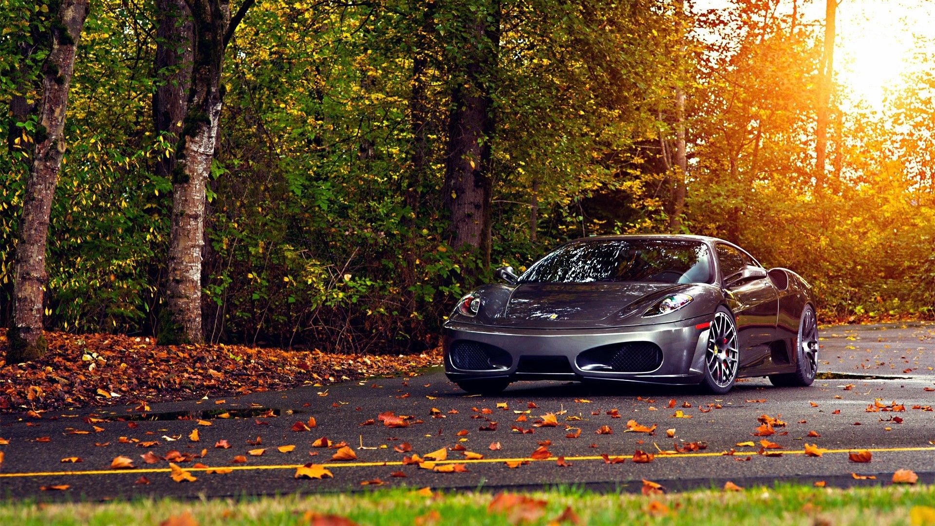 Handy-Wallpaper Ferrari F430 Scuderia, Bäume, Cars, Blätter, Ferrari, Herbst kostenlos herunterladen.