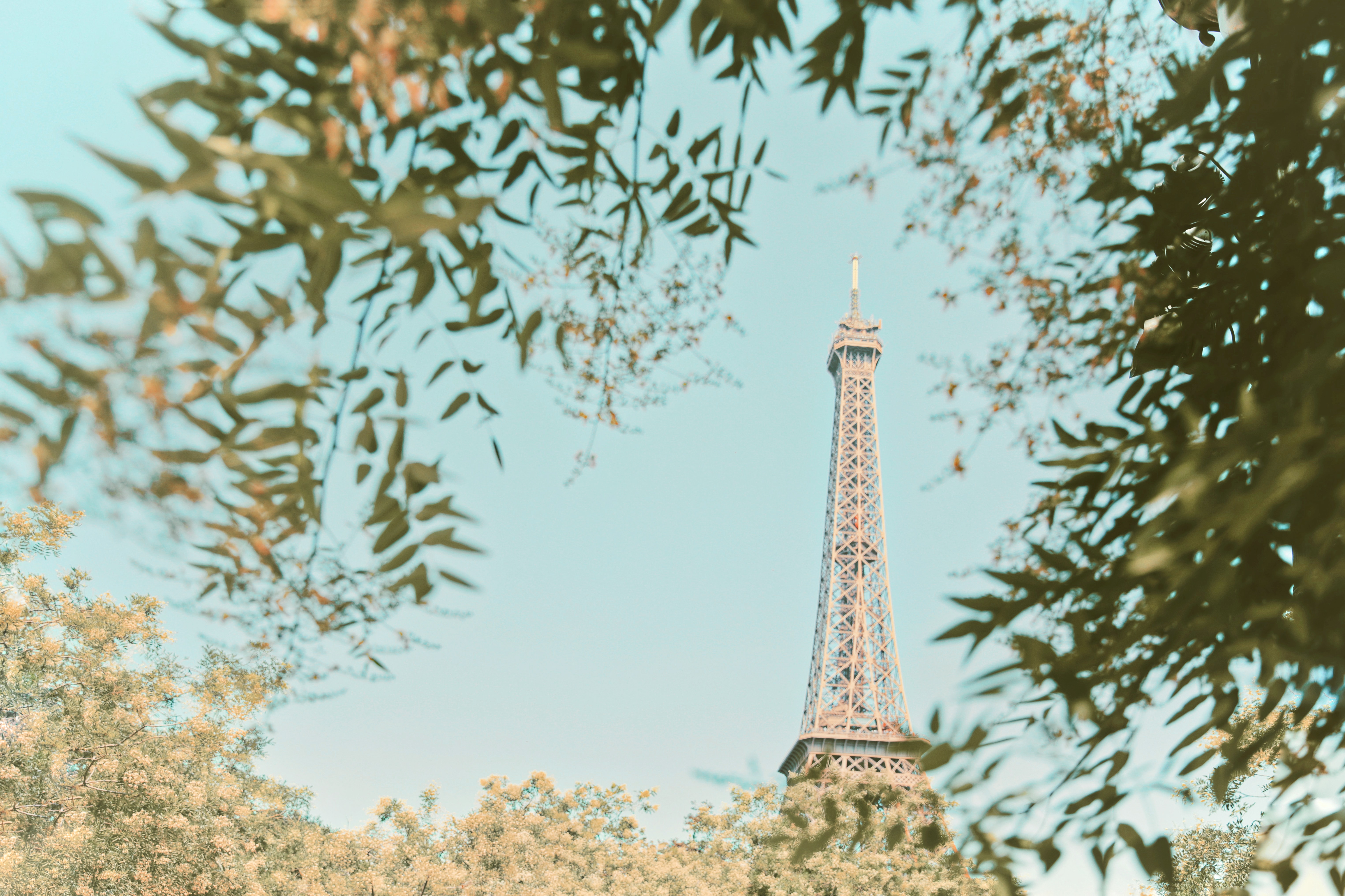 122834 免費下載壁紙 城市, 树, 建筑, 巴黎, 艾菲尔铁塔, 建造, 分行, 分支, 塔, 塔楼 屏保和圖片
