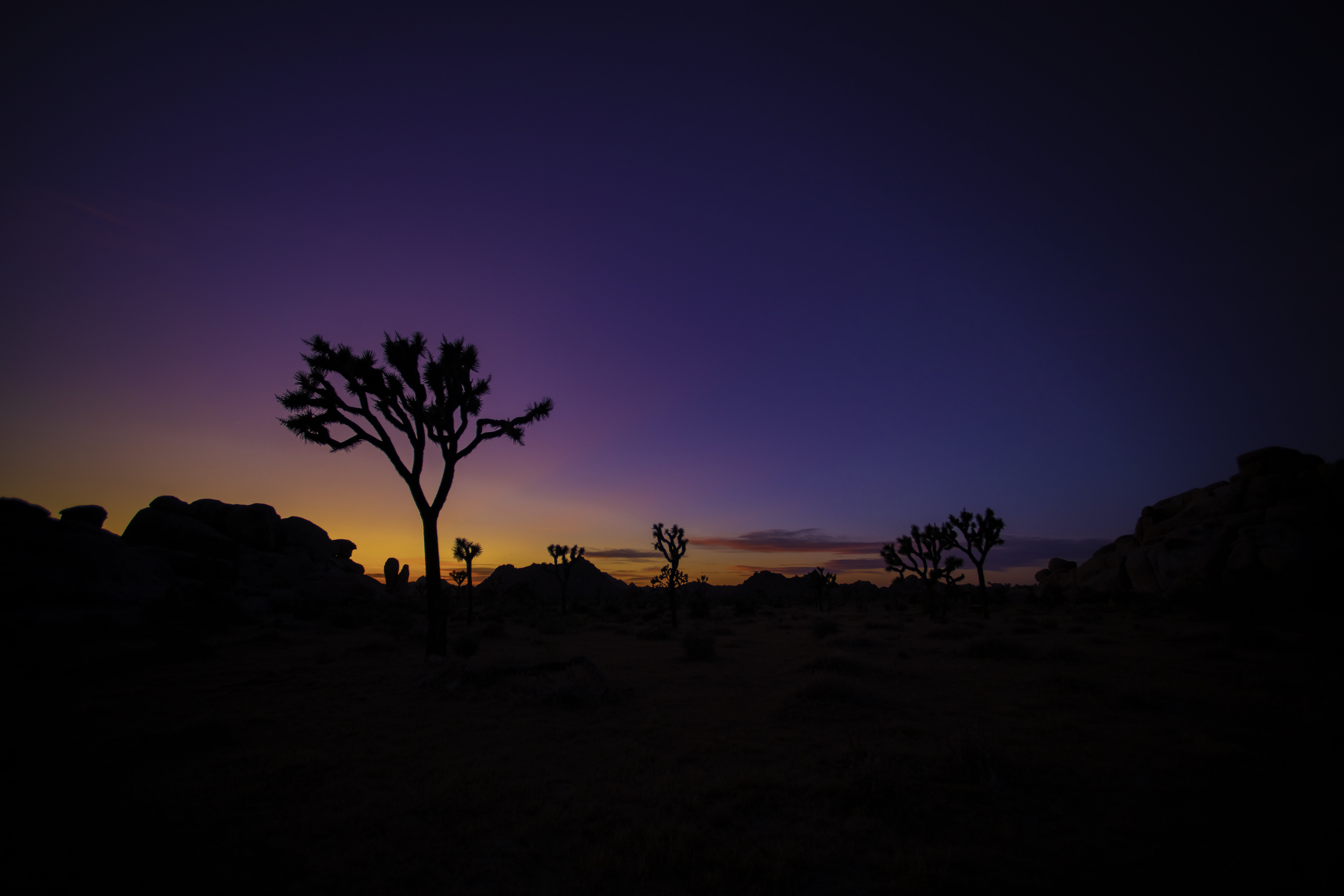silhouette, wood, nature, sunset, tree, prairie cellphone