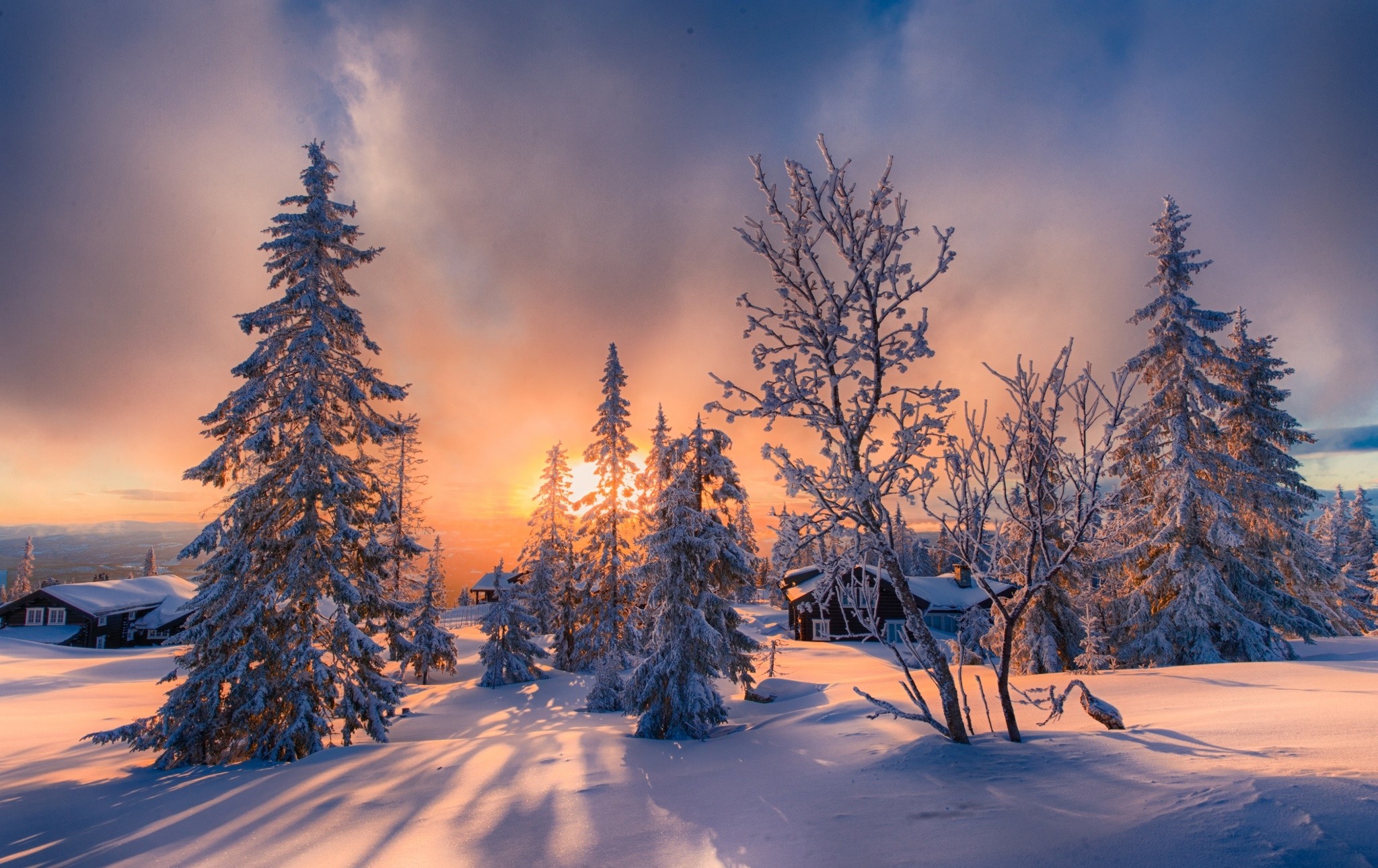 Зима пейзаж фото