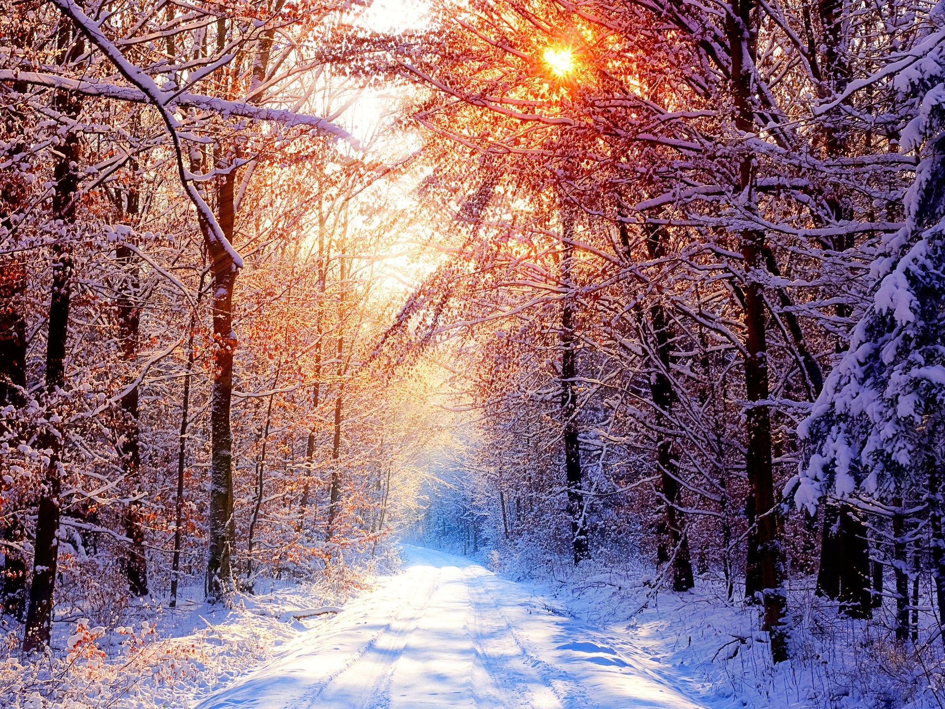 Free download wallpaper Winter, Trees, Roads, Sun, Landscape on your PC desktop