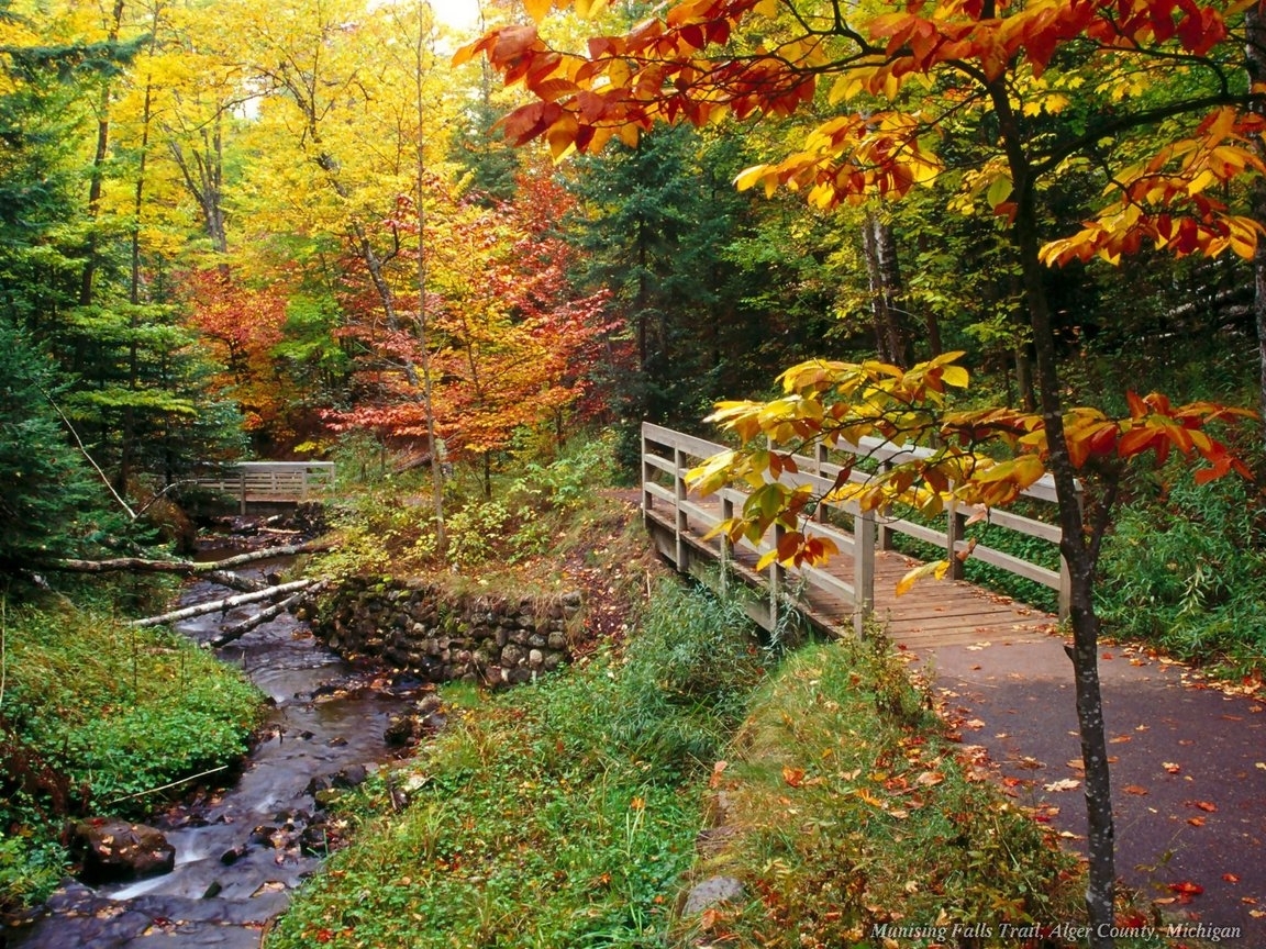 免费下载景观, 桥梁, 秋, 植物, 河, 树手机壁纸。