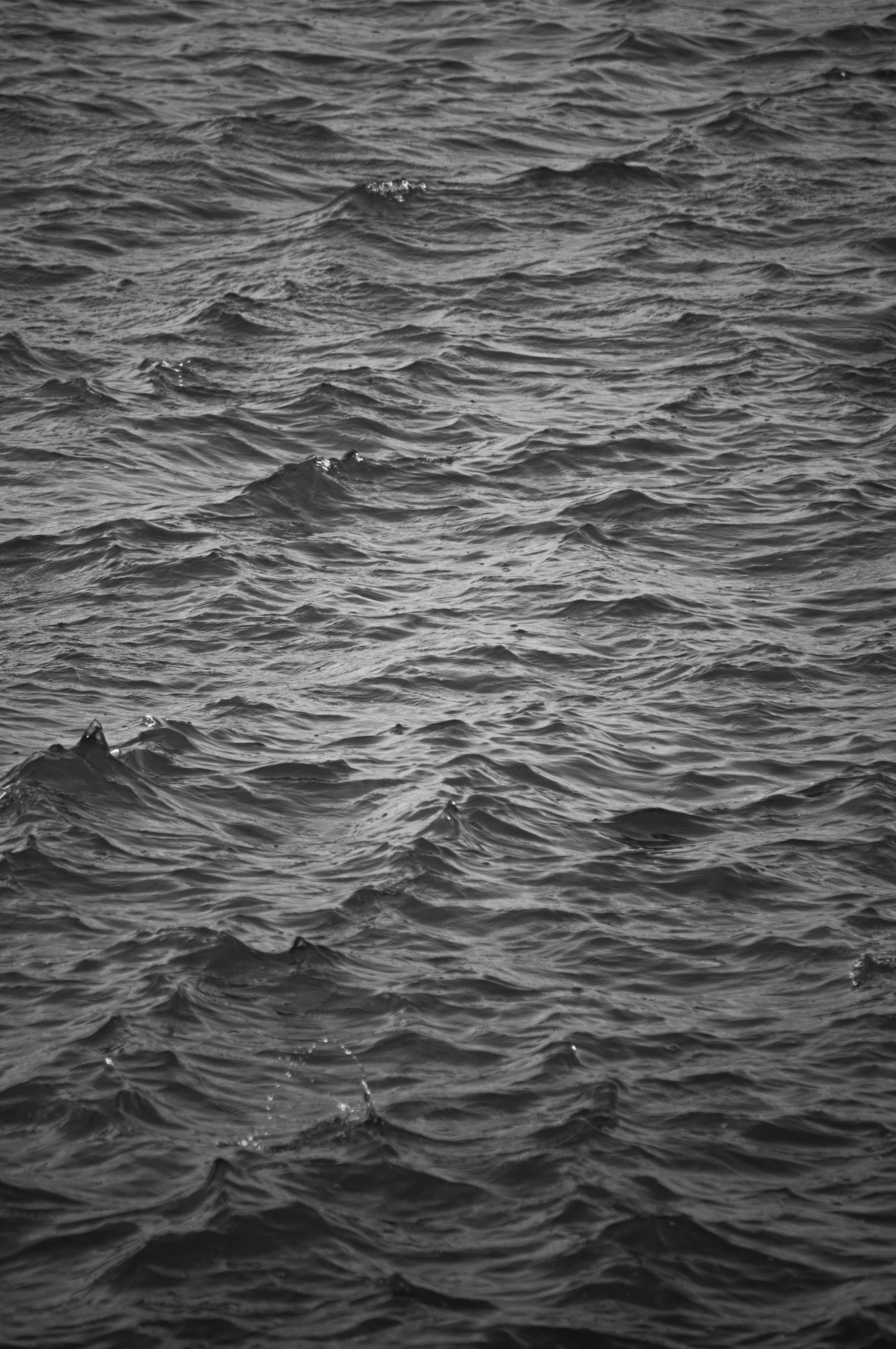ripples, ripple, nature, water, waves, bw, chb HD wallpaper
