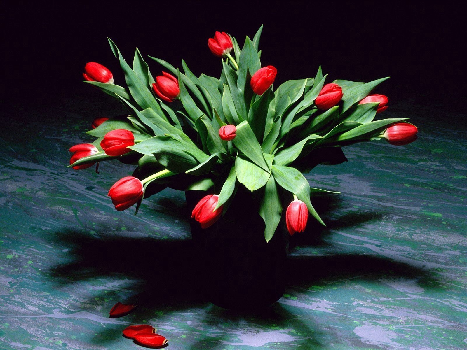 Download mobile wallpaper Petals, Flowers, Bouquet, Vase, Shadow, Tulips for free.