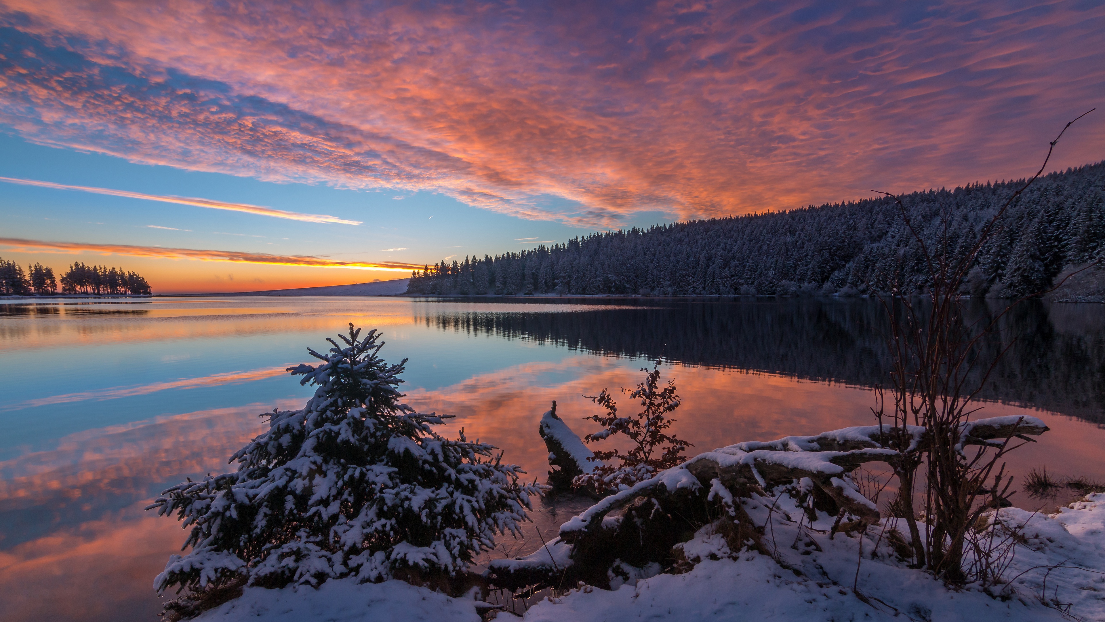 earth, sunset, cloud, forest, lake, reflection, sky, snow, spruce, winter High Definition image