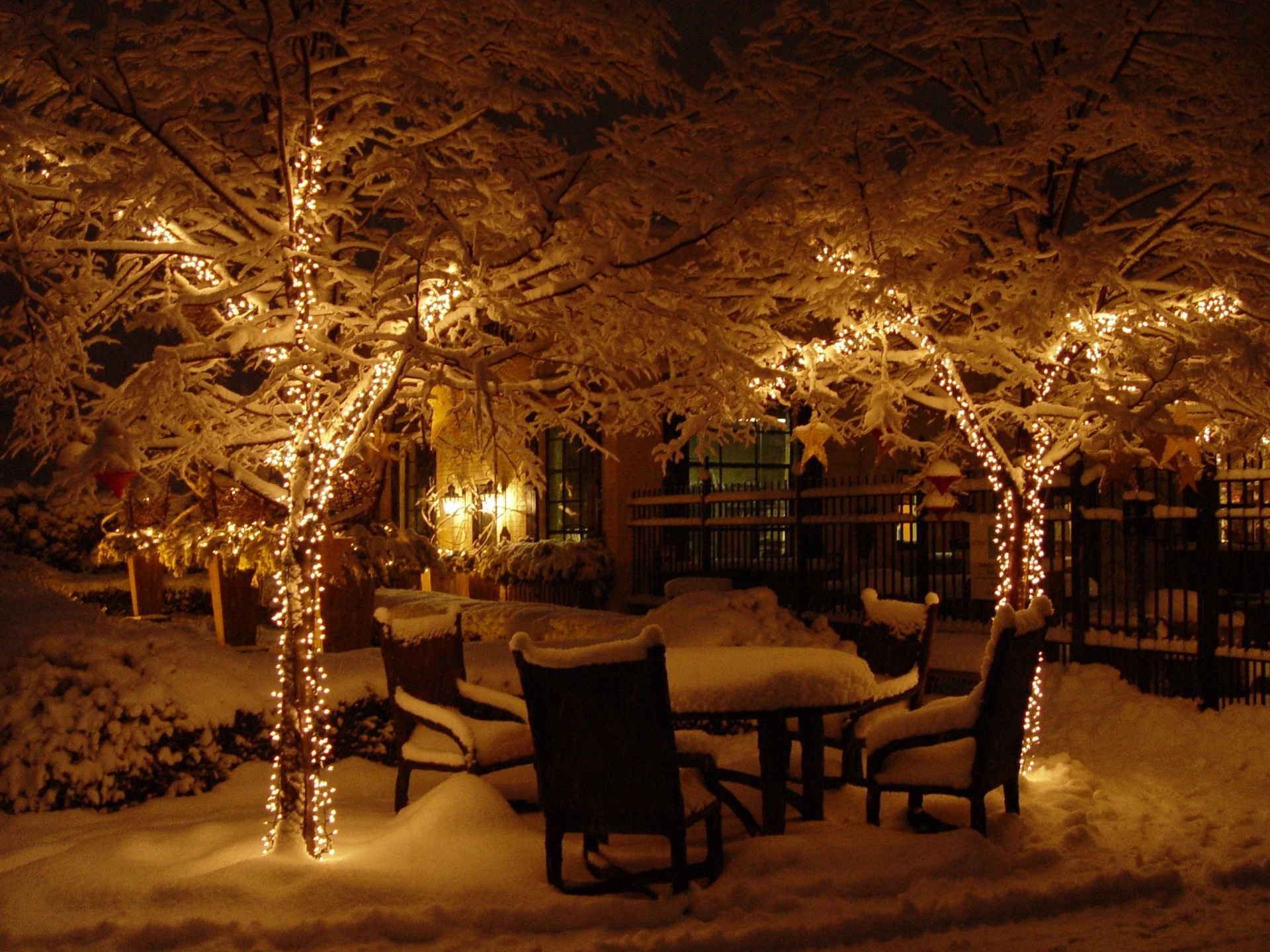 875006 descargar fondo de pantalla fotografía, invierno, navidad, frío, luces, nieve, árbol: protectores de pantalla e imágenes gratis