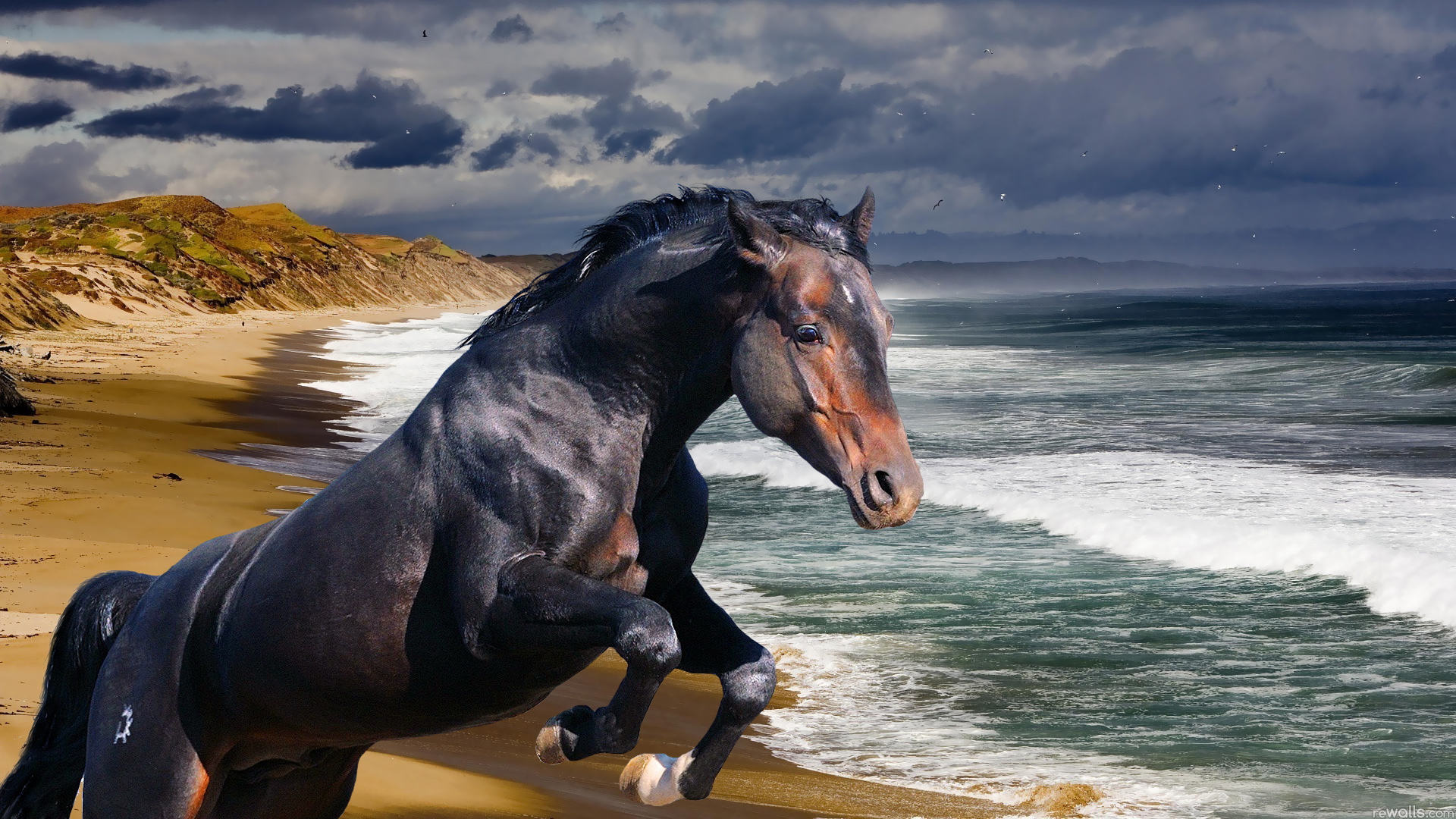 Конь на берегу моря