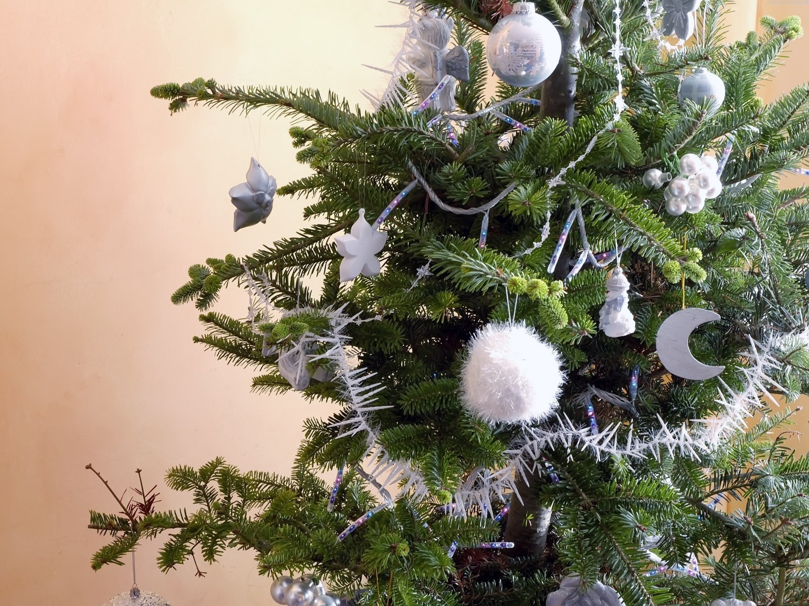 Laden Sie das Bäume, Neujahr, Feiertage, Tannenbaum-Bild kostenlos auf Ihren PC-Desktop herunter