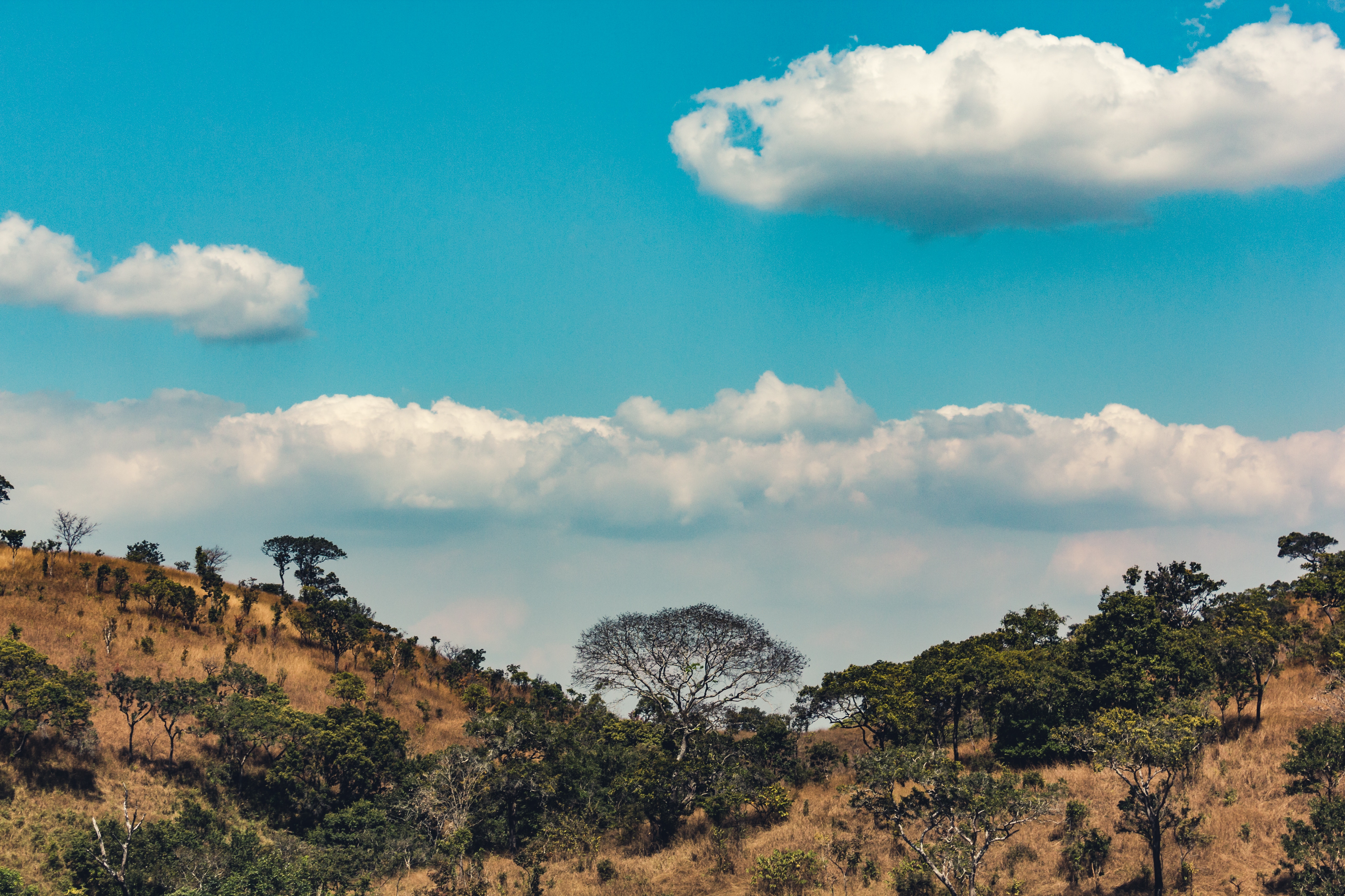 africa, nature, trees, clouds, hills, hill