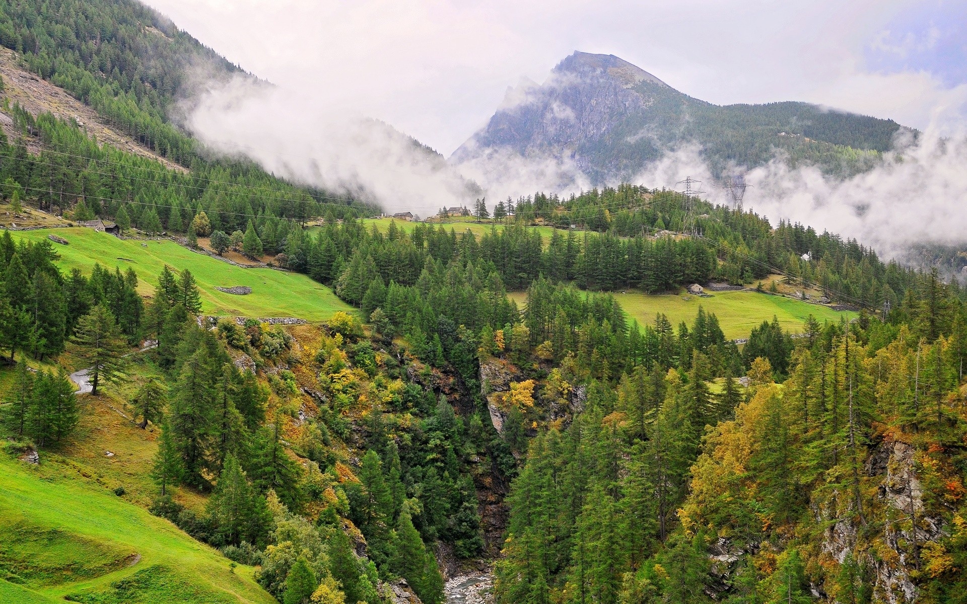 Лес и горы Швейцария