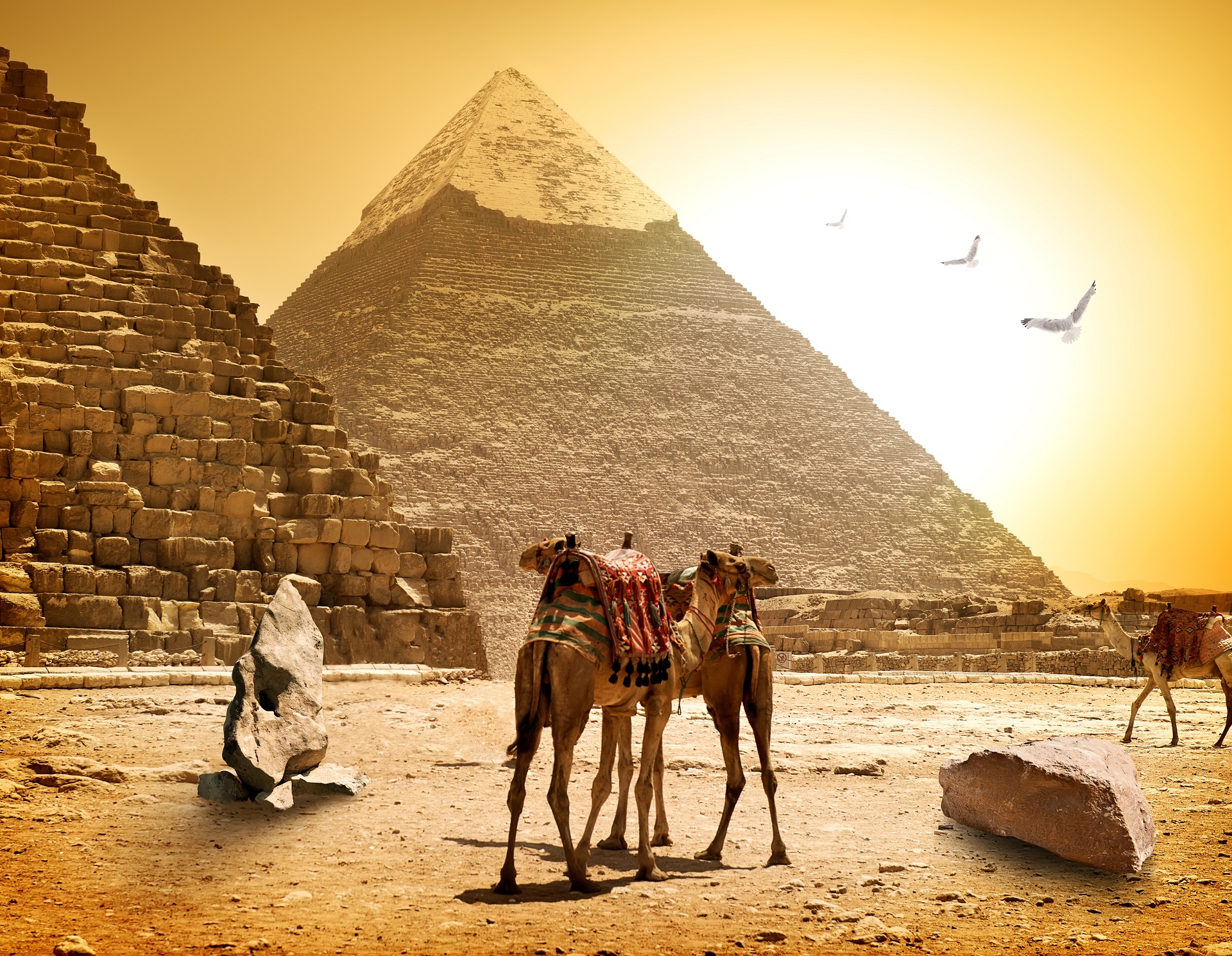 762698 скачать обои сделано человеком, пирамида, верблюды, египетский - заставки и картинки бесплатно
