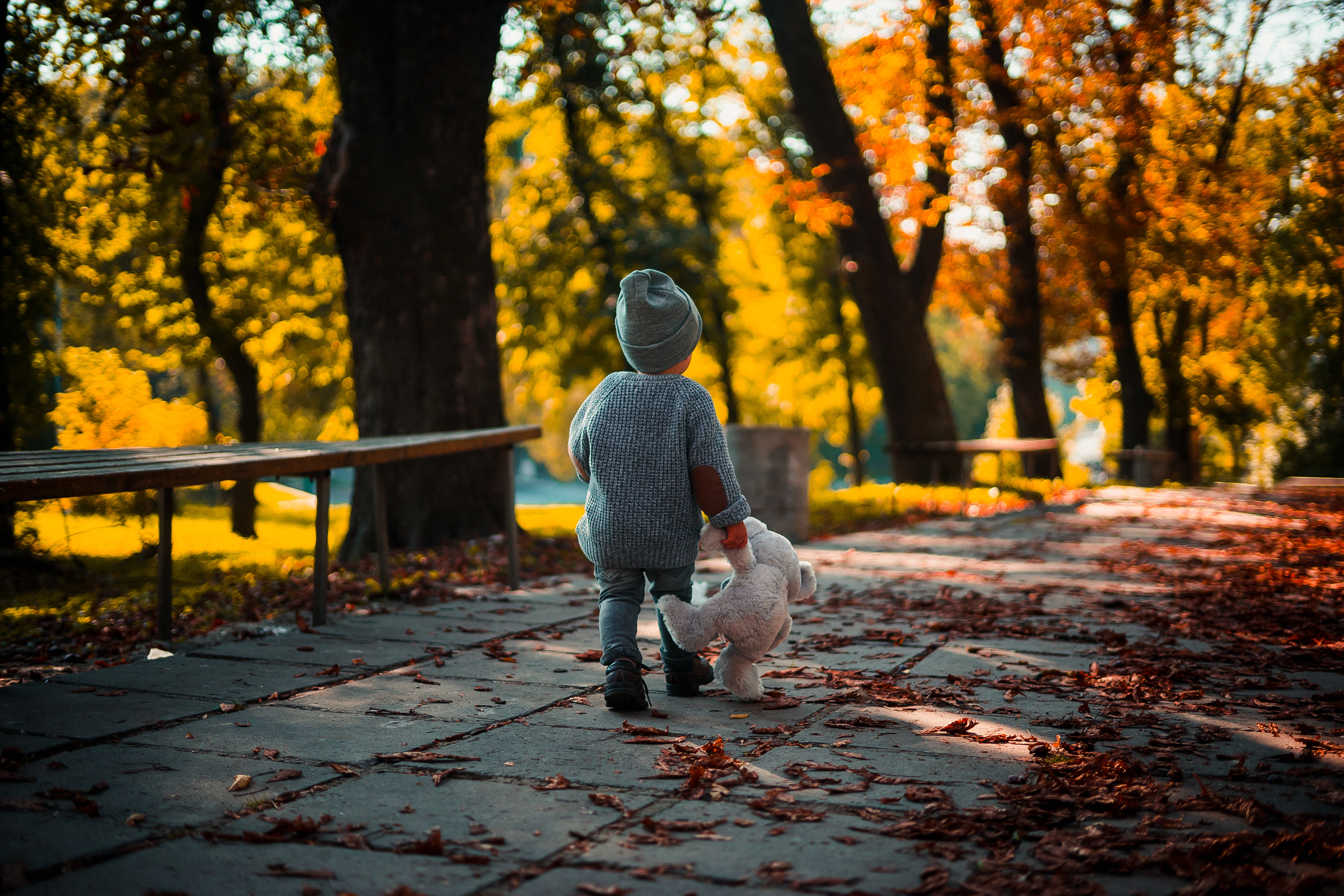 stroll, teddy bear, child, autumn, miscellanea, miscellaneous