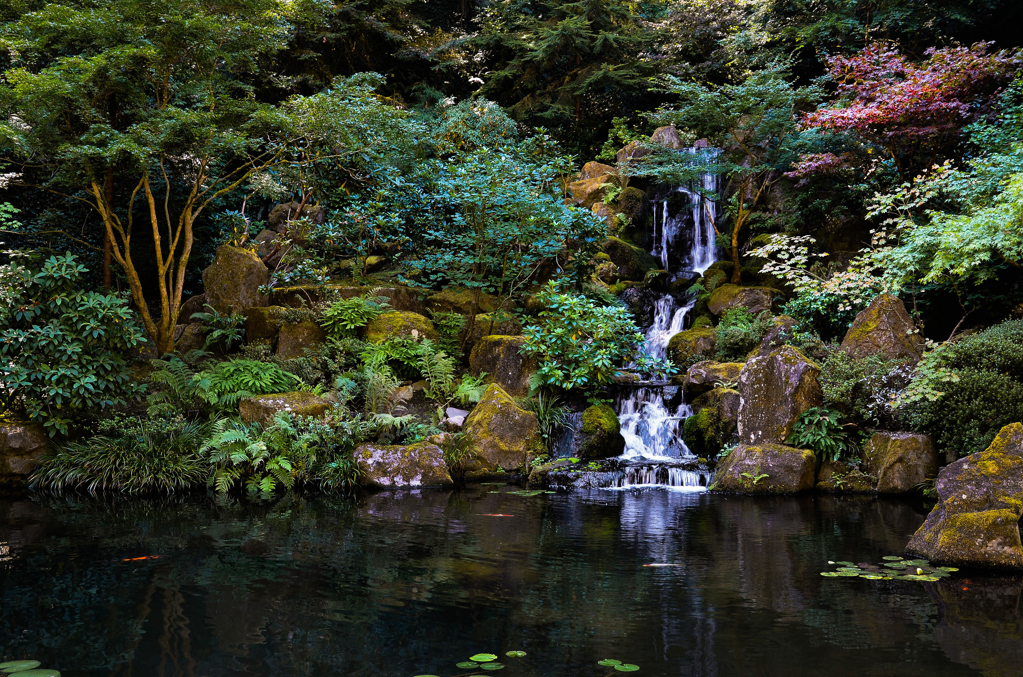 313054 скачать обои парк, японский сад, природа, земля/природа, водопад, пруд, водопады - заставки и картинки бесплатно