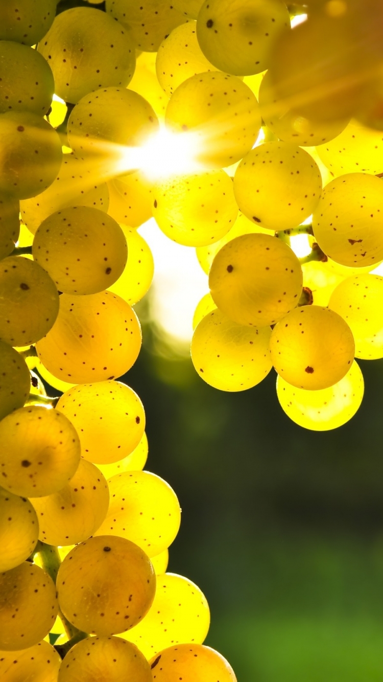 Гроздь жёлтого винограда