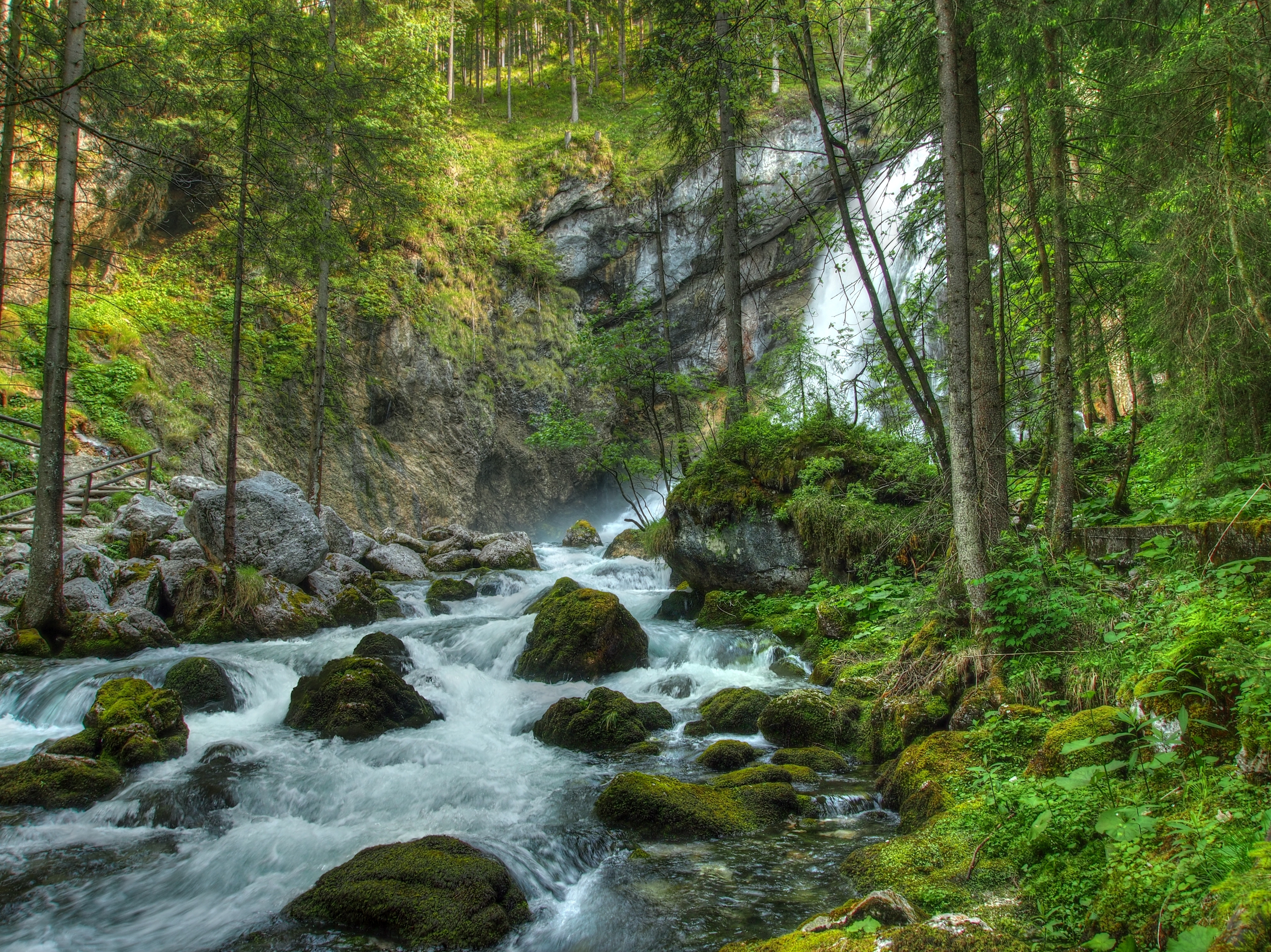 Скачать картинку Водопад, Лес, Природа, Река, Камни, Пейзаж в телефон бесплатно.