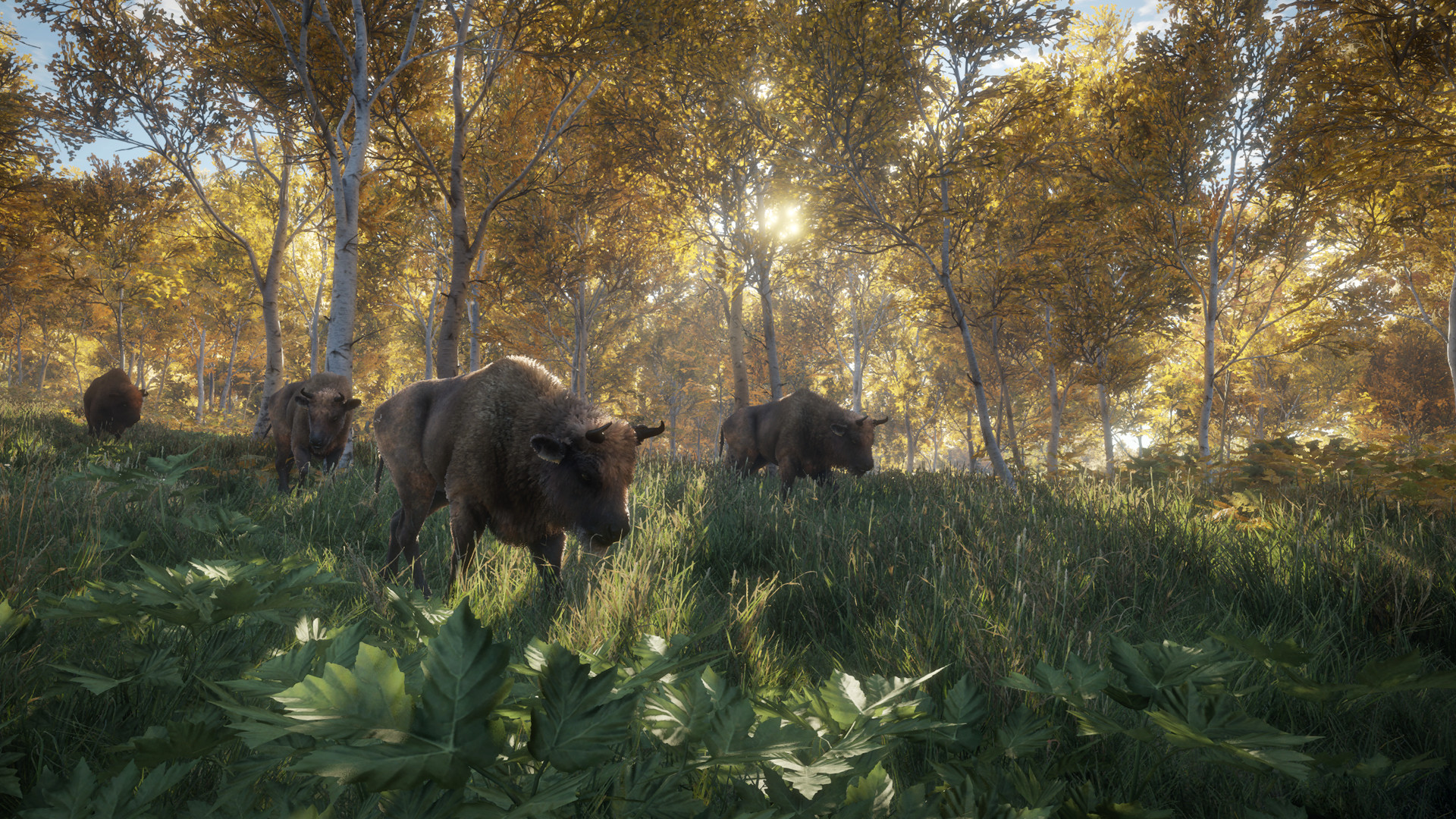 theHunter Call of the Wild Free Download