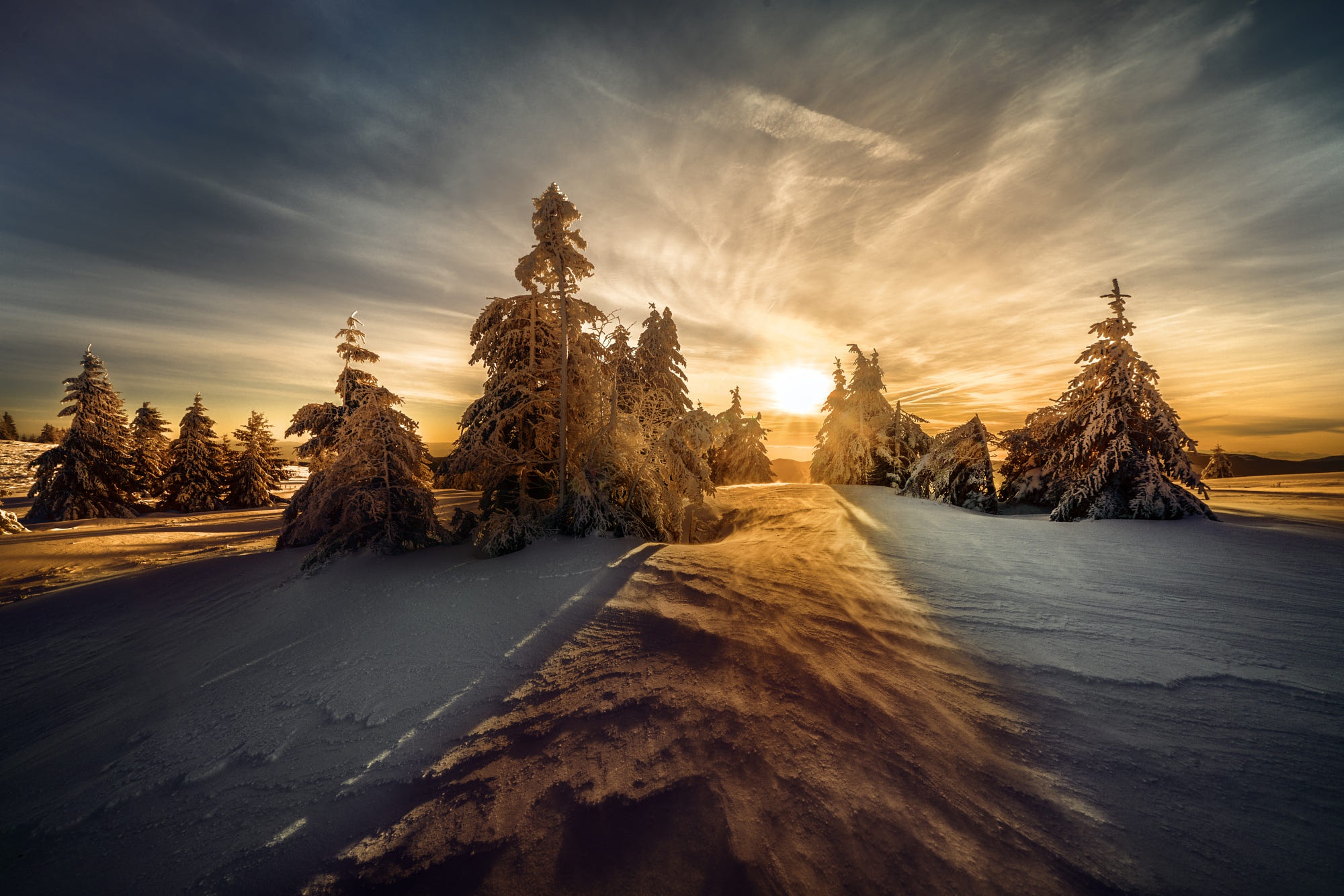Download mobile wallpaper Winter, Nature, Sun, Snow, Earth, Spruce for free.