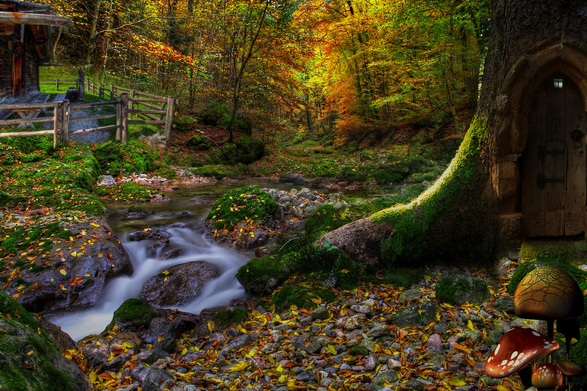 Фото лес сказка. Сказочная природа. Красивая Сказочная природа. Сказочный лес. Природа 3д.