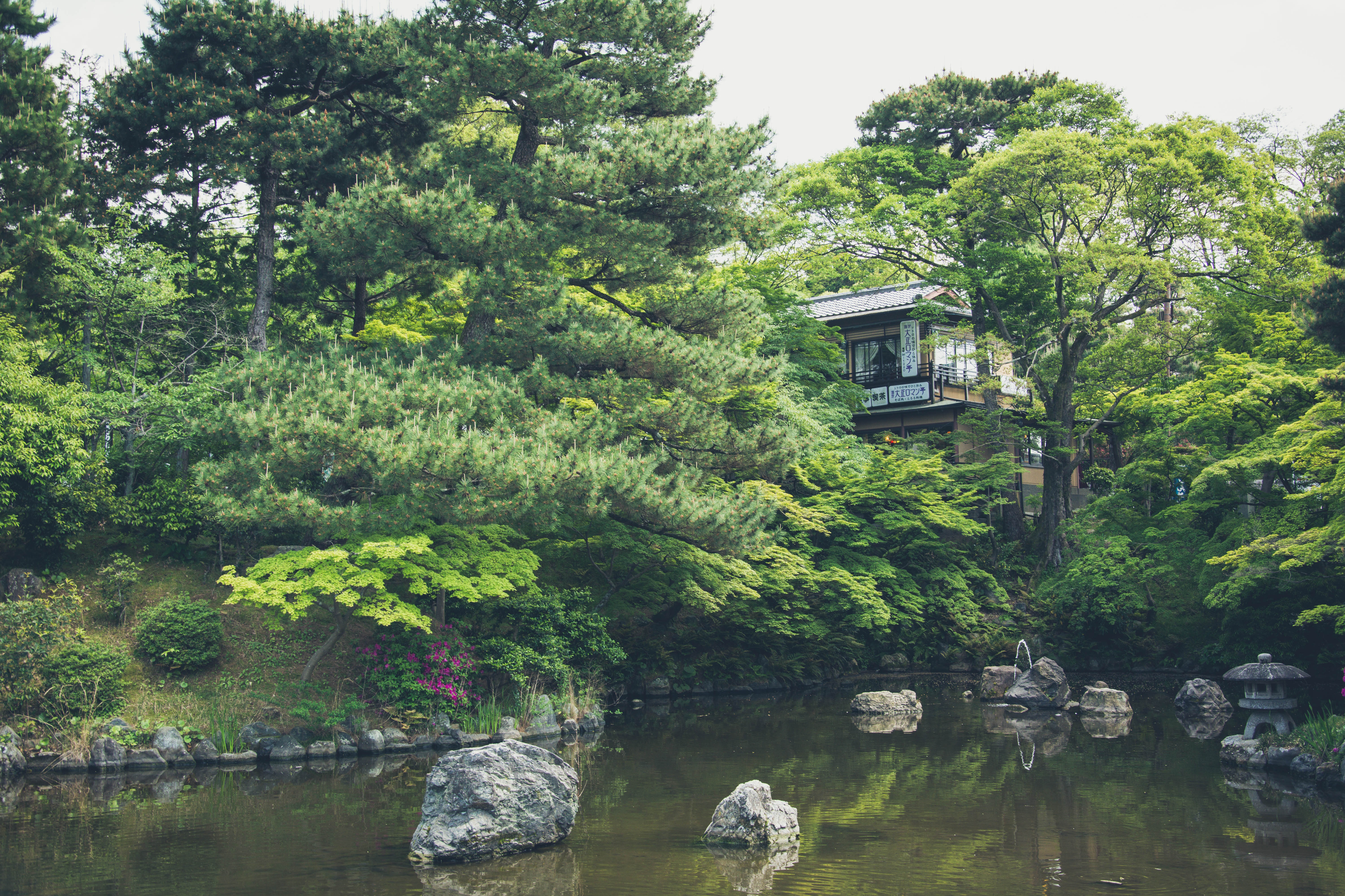 81188 завантажити картинку японія, природа, озеро, структура, будова, ставок, став - шпалери і заставки безкоштовно