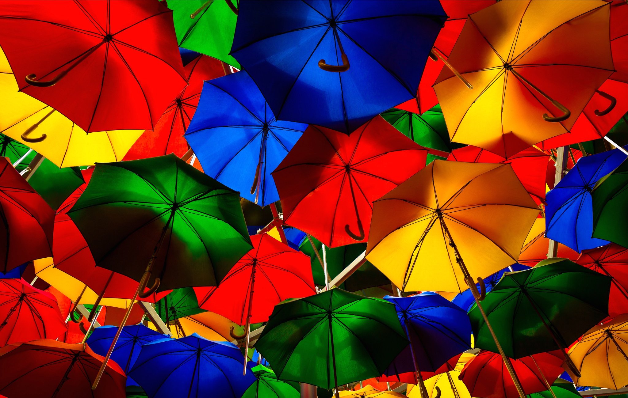 Много зонтиков
