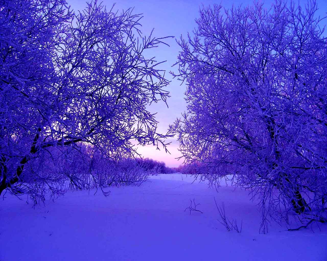 111378 Hintergrundbild herunterladen winter, natur, bäume, schnee, abend, driften, driftet - Bildschirmschoner und Bilder kostenlos