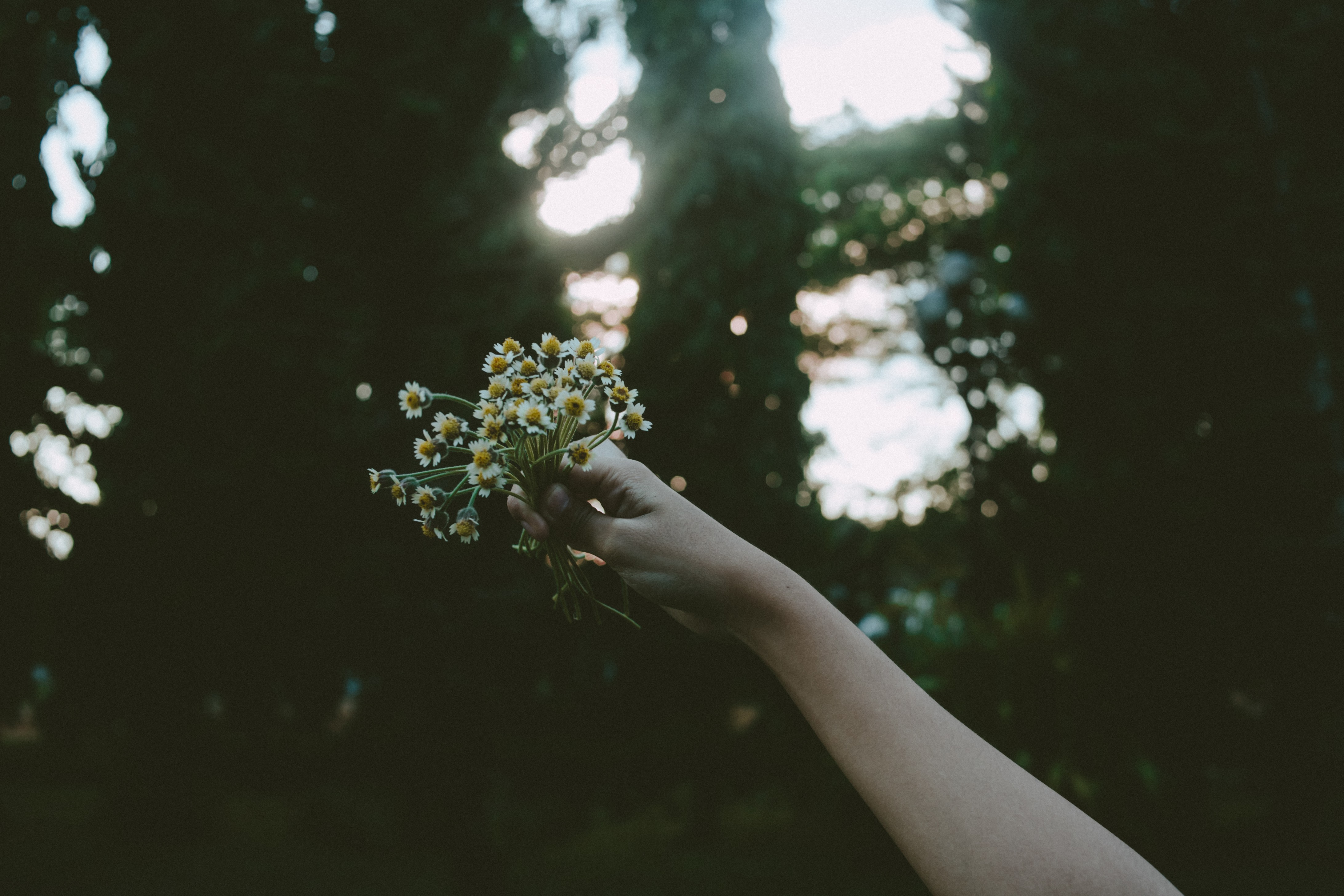 Видеть рукой цвет. Цветок на руку.. Цветы в руках у девушки. Цветы и руки Эстетика. Девушка держит цветы в руках.