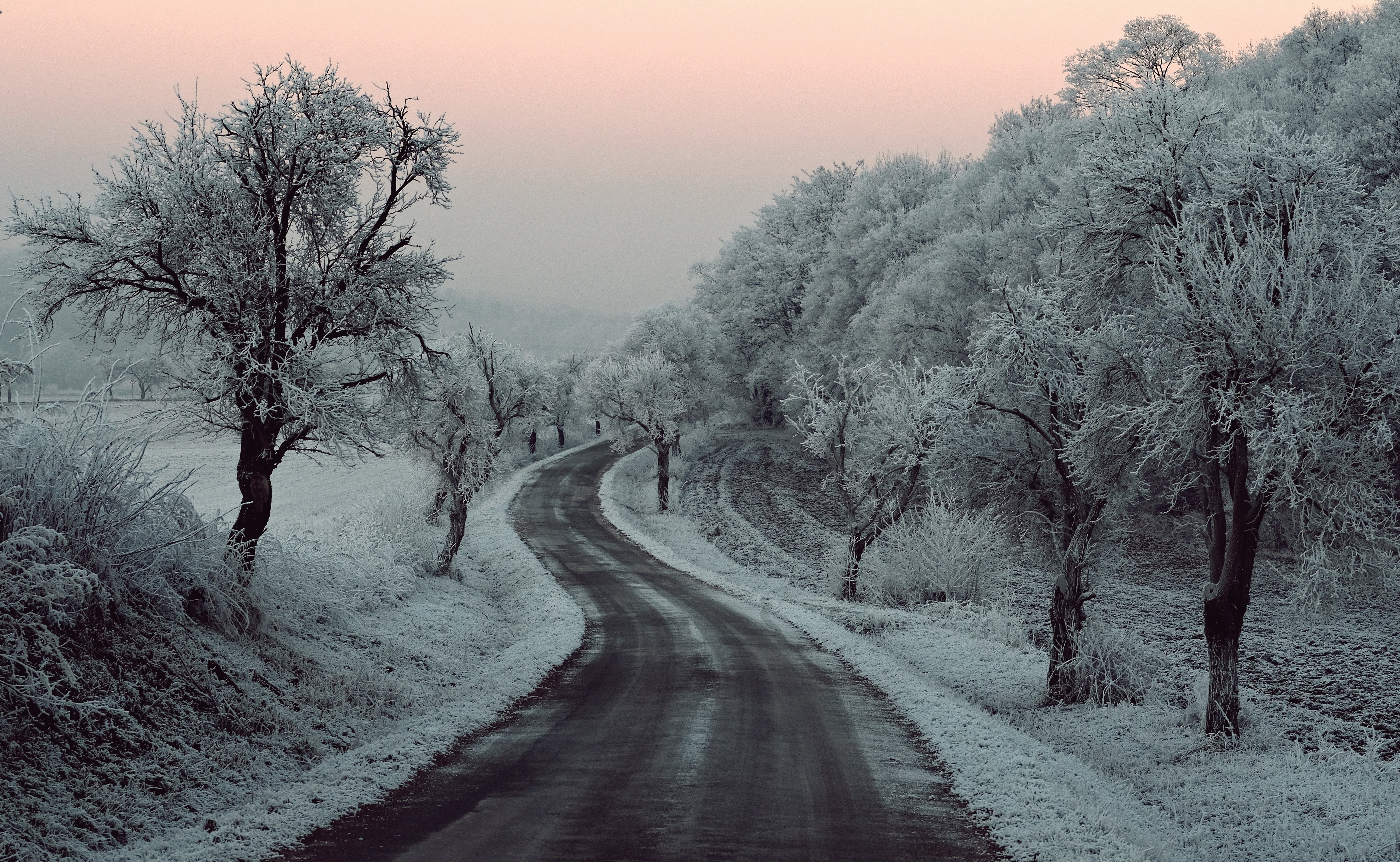 Дорога без снега. Зимняя дорога. Заснеженная дорога. Зимняя дорога в лесу. Зима Эстетика дорога.