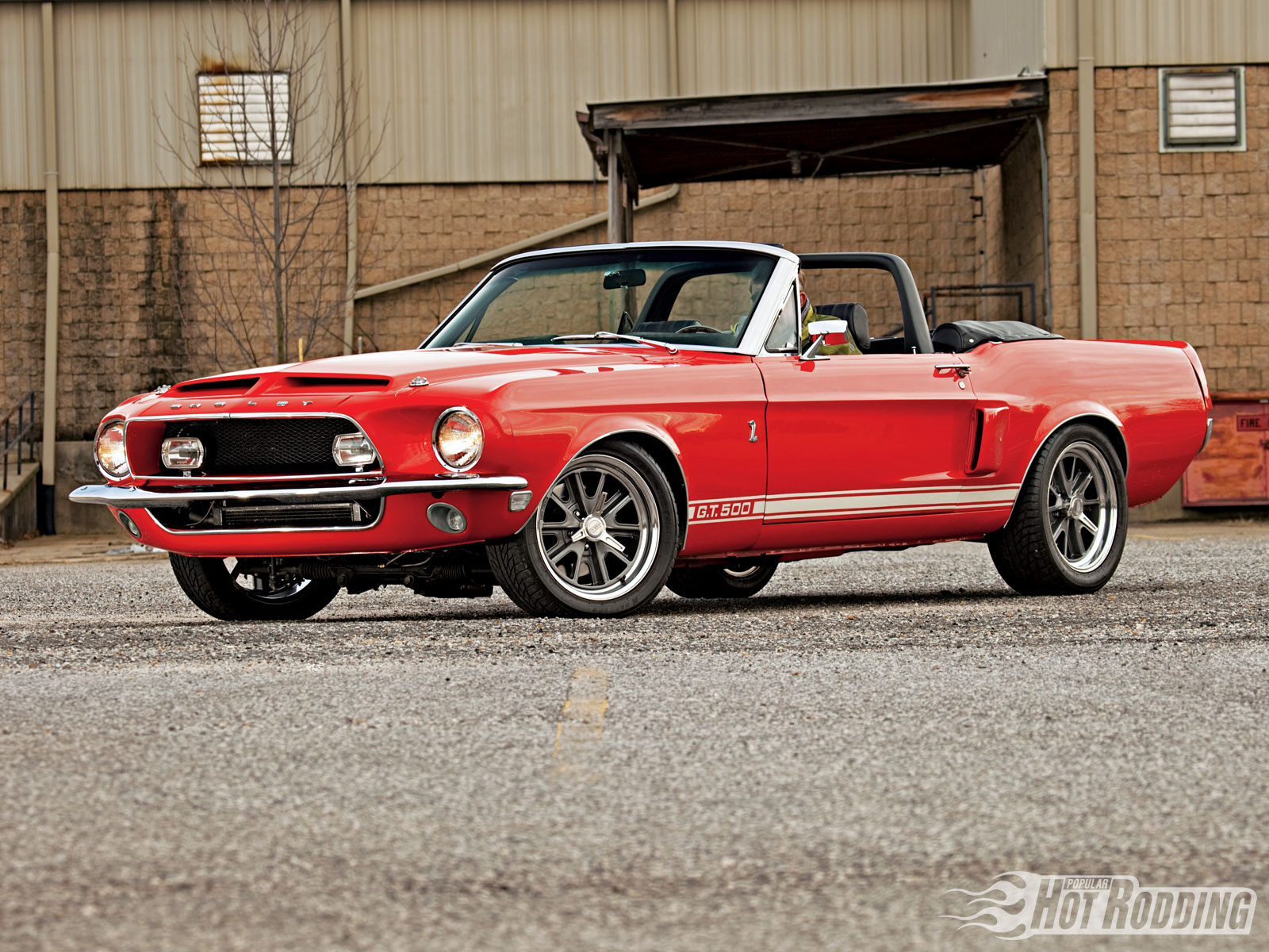 HD wallpaper vehicles, shelby gt500, classic car, convertible, hot rod, muscle car, ford