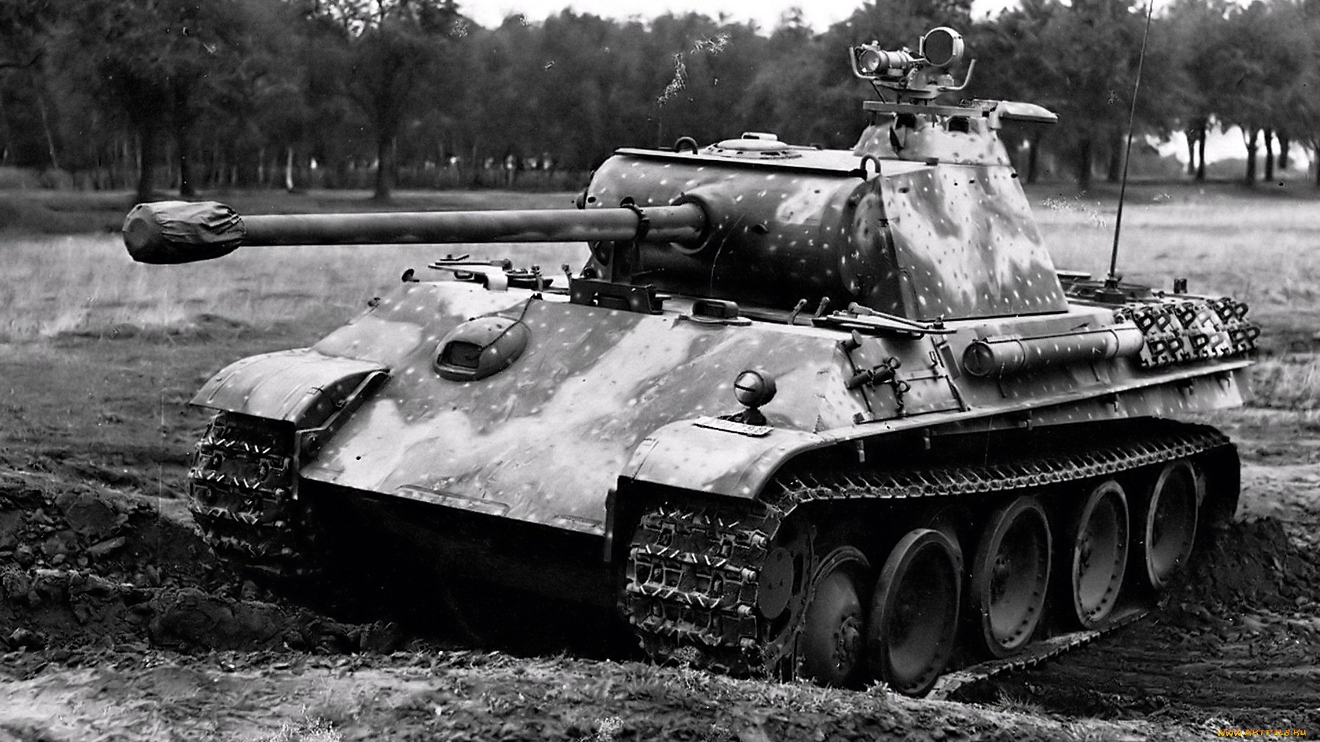military, tank, black & white, panther, vehicle, tanks