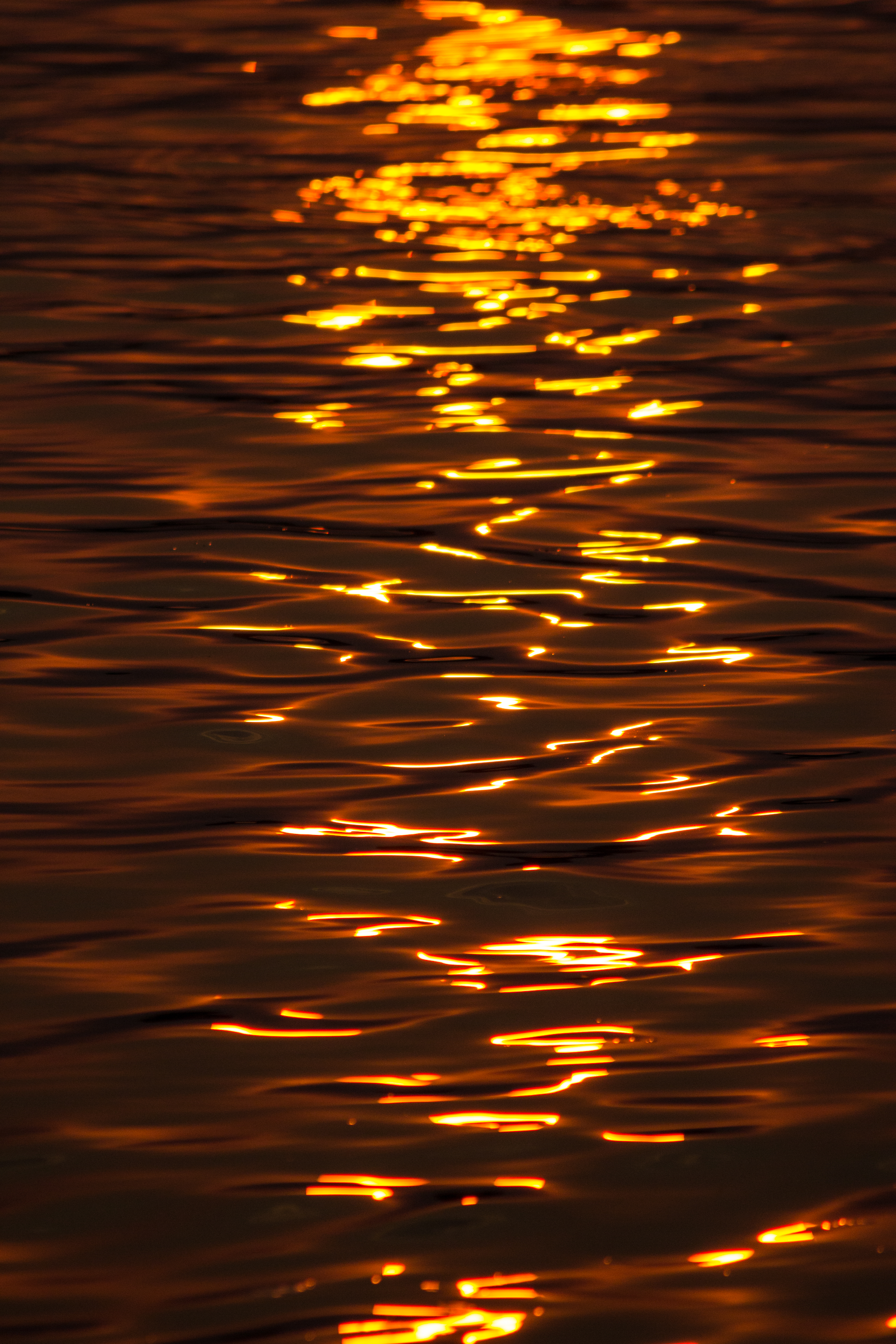 water, nature, sunset, glare, ripples, ripple images