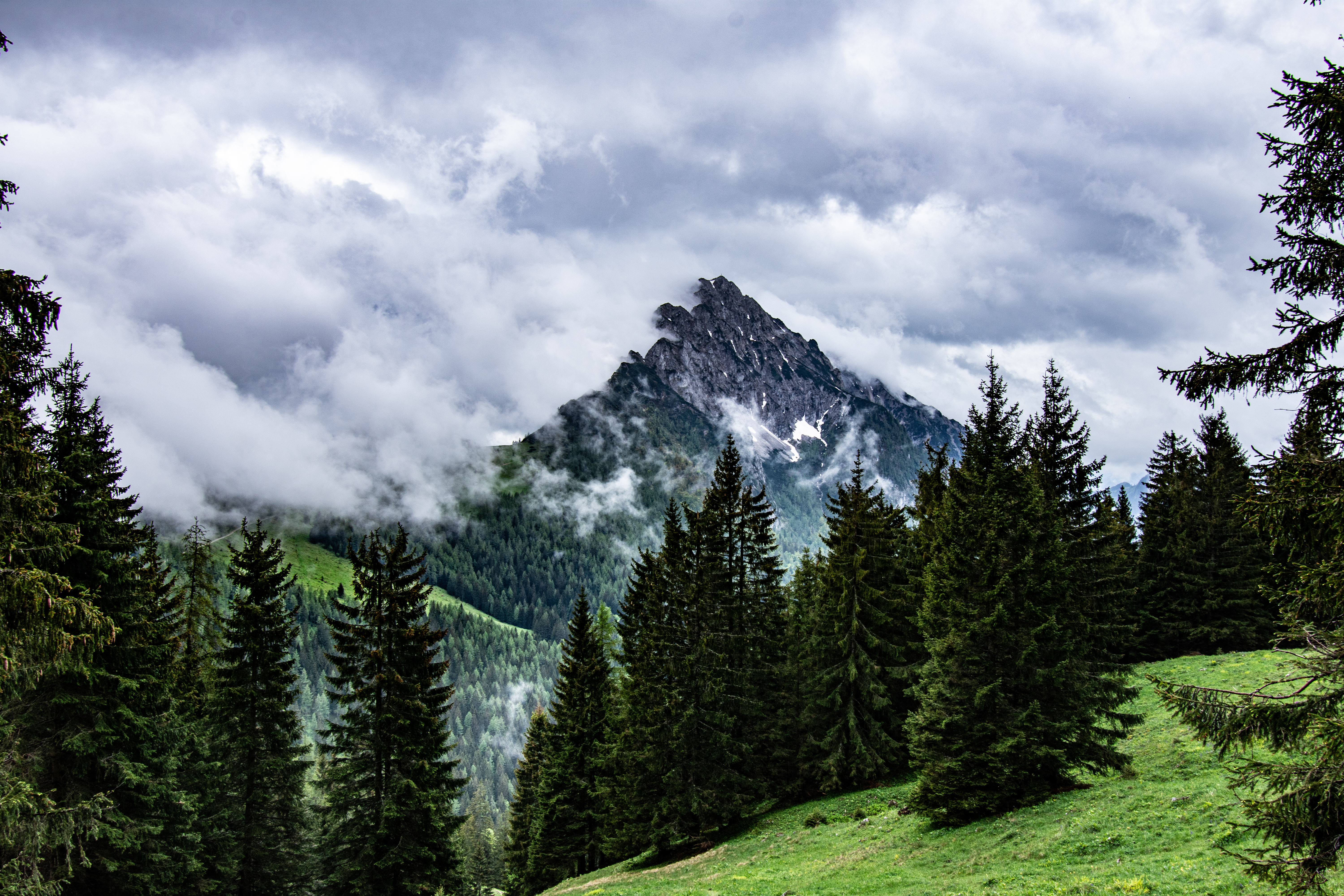 nature, trees, mountains, clouds, rocks, fog, spruce, fir phone background
