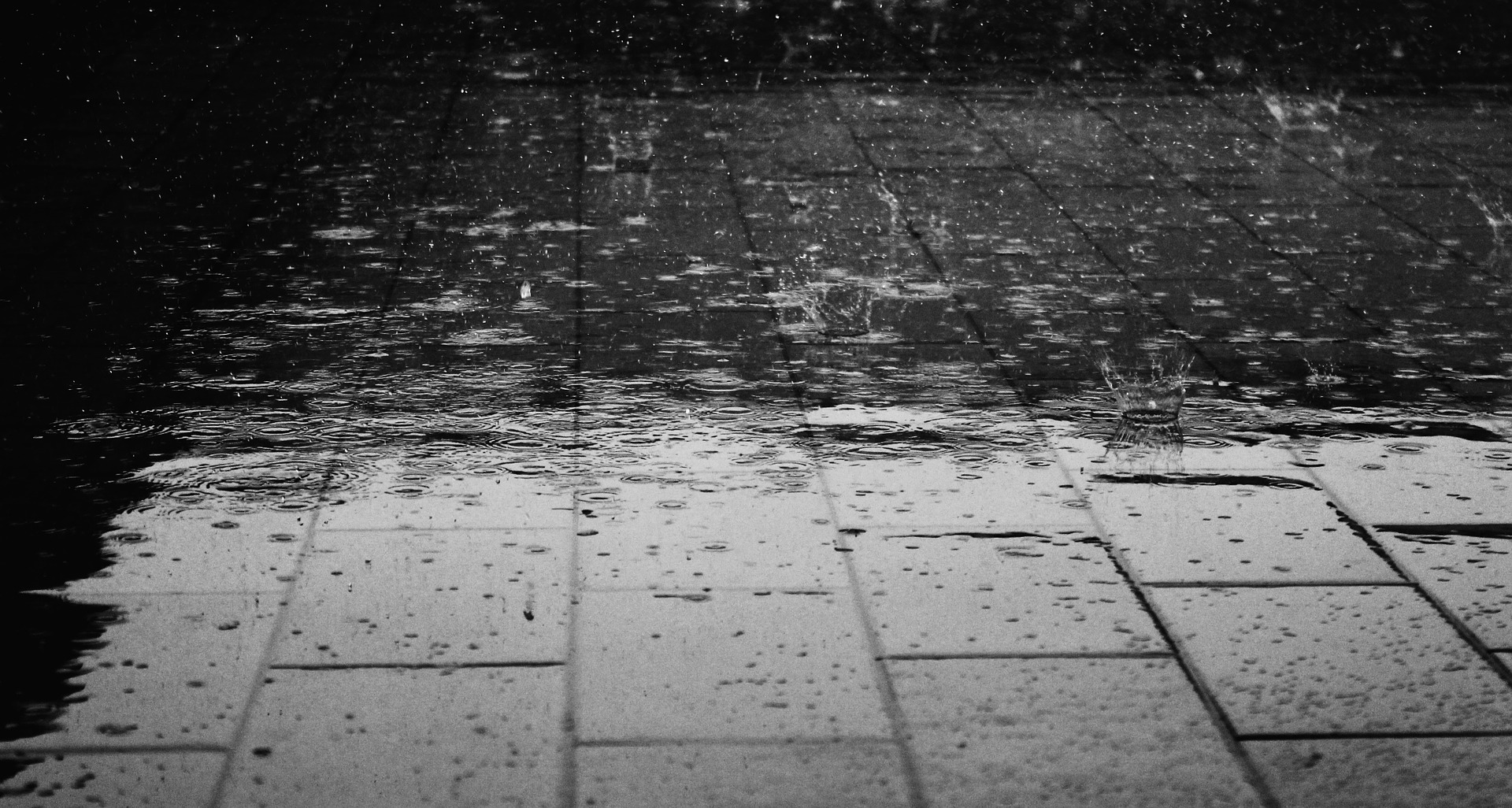 Мокрый асфальт дождь