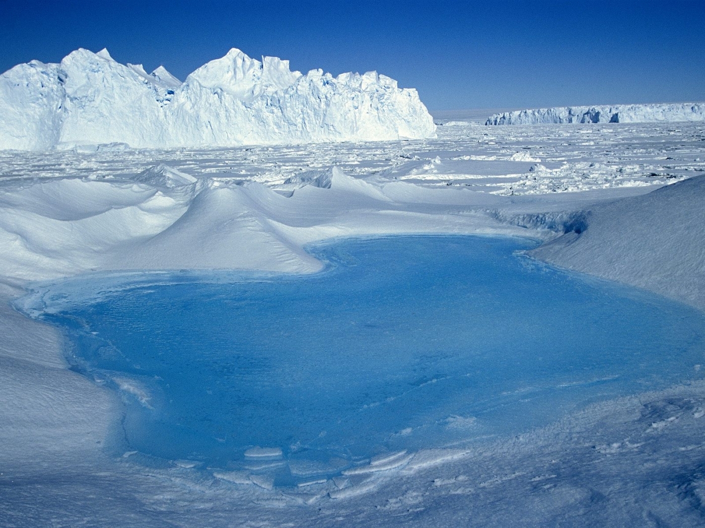 Арктическая пустыня изменение природы
