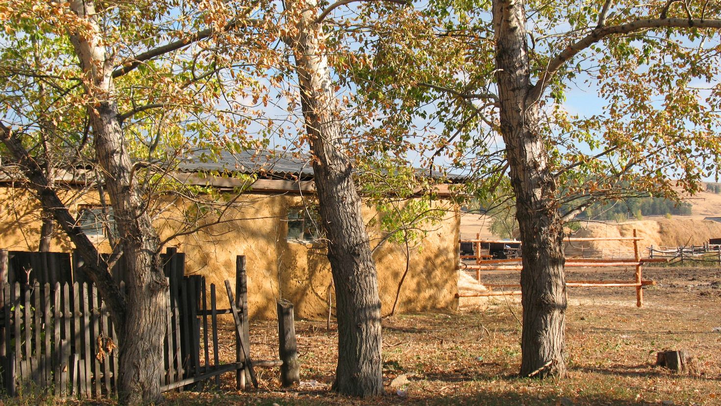 Села казахстана. Село Лобаново Казахстан. Тополь в деревне. Осень деревня тополя. Казахстан деревня.