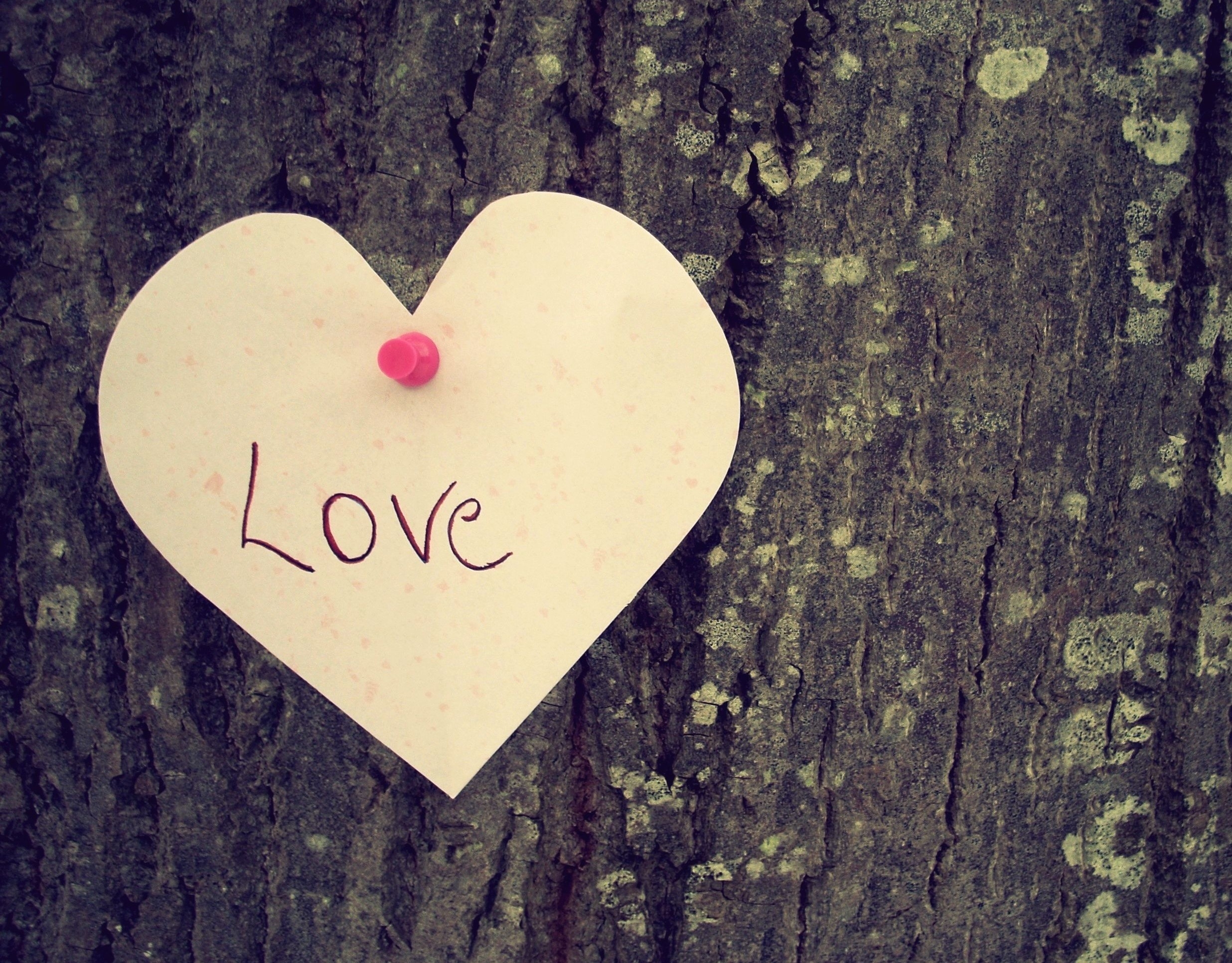 love, wood, tree, heart, feelings Phone Background