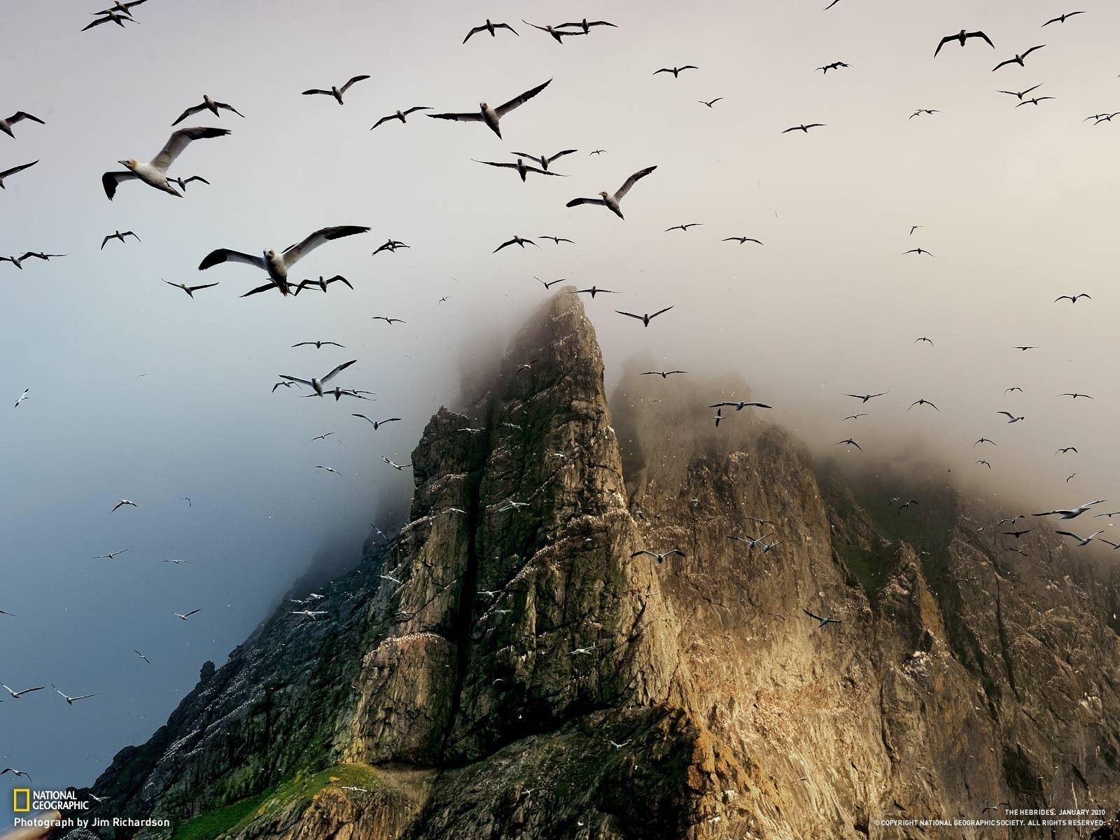 landscape, mountains, seagulls Aesthetic wallpaper