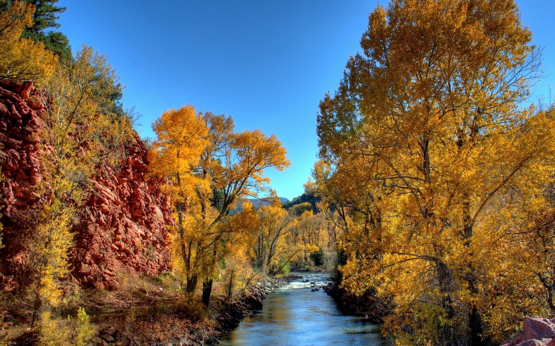 無料モバイル壁紙川, 木, 風景, 秋をダウンロードします。