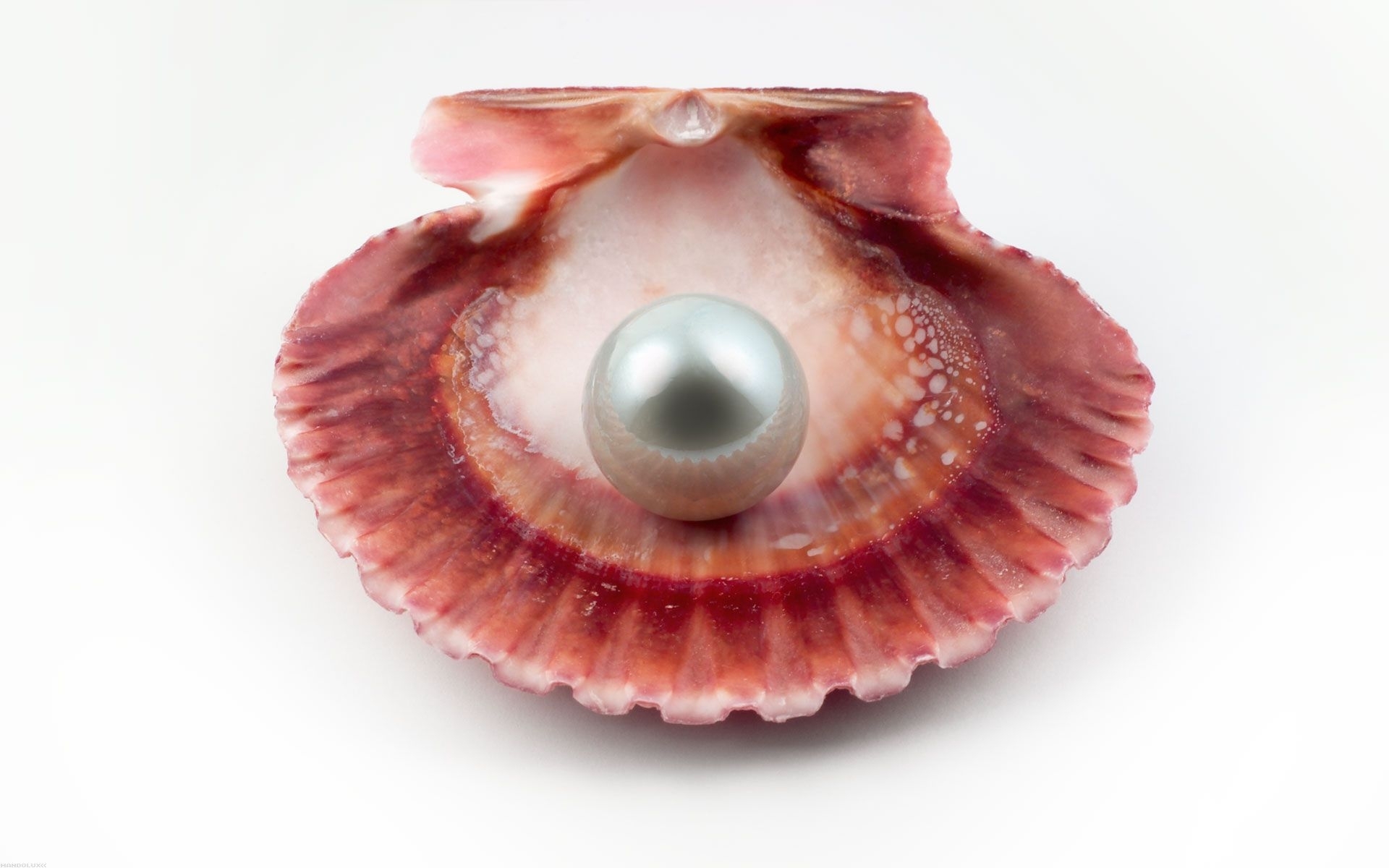 pearls, objects, red