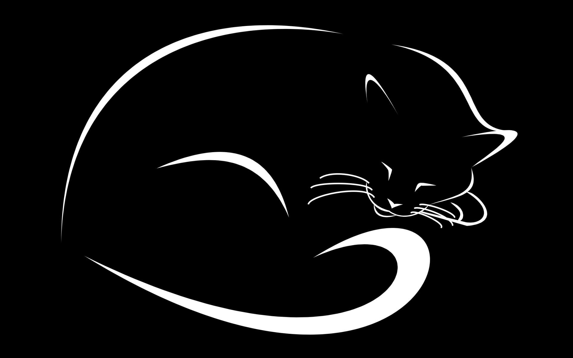 vector, cat, kitty, kitten, mustache, moustache, asleep, sleeps lock screen backgrounds