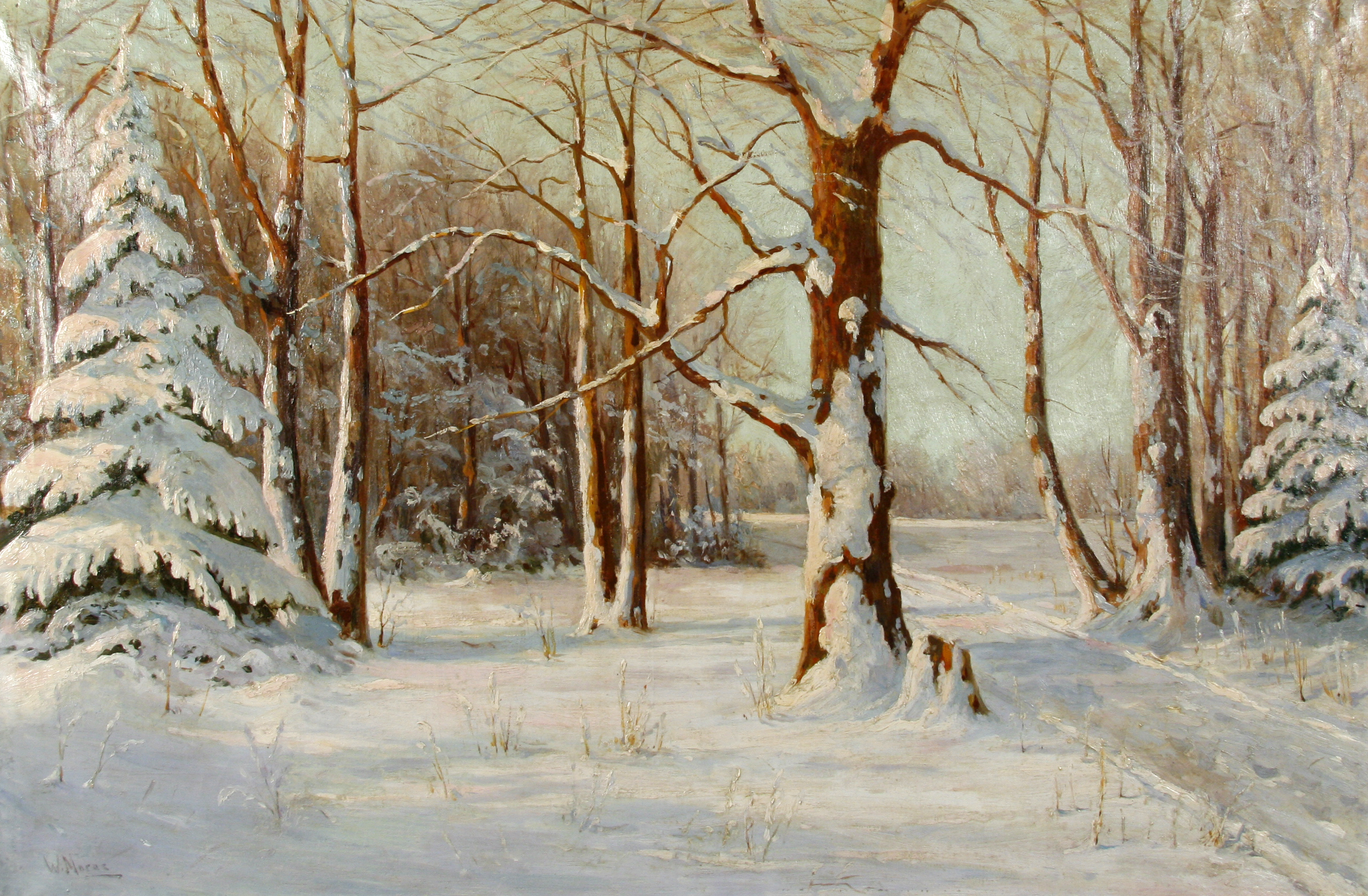 Вальтер Морас «лес в снегу», 1919