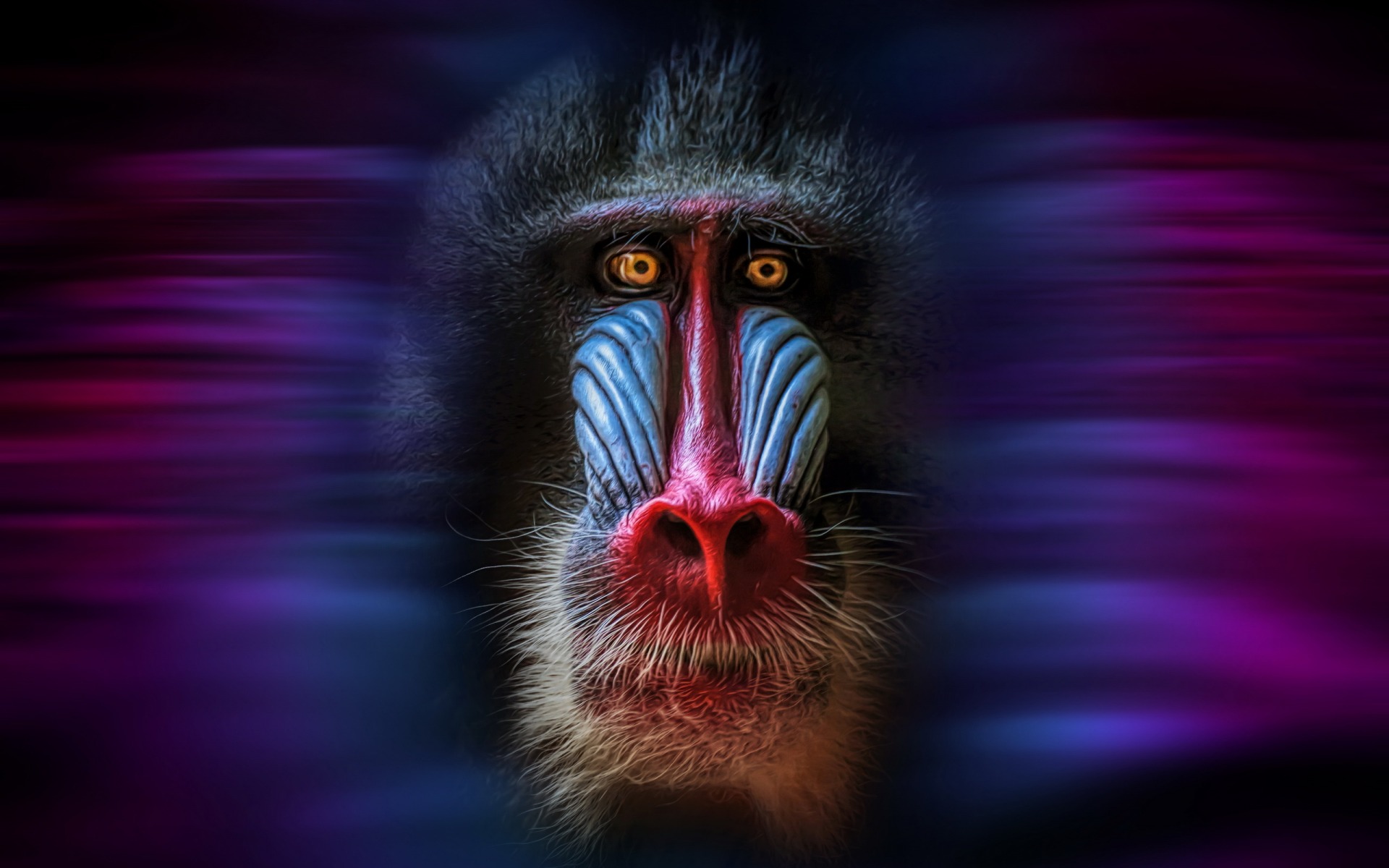 393070 скачать обои мандрил, обезьяны, животные, красочный, лицо, обезьяна - заставки и картинки бесплатно
