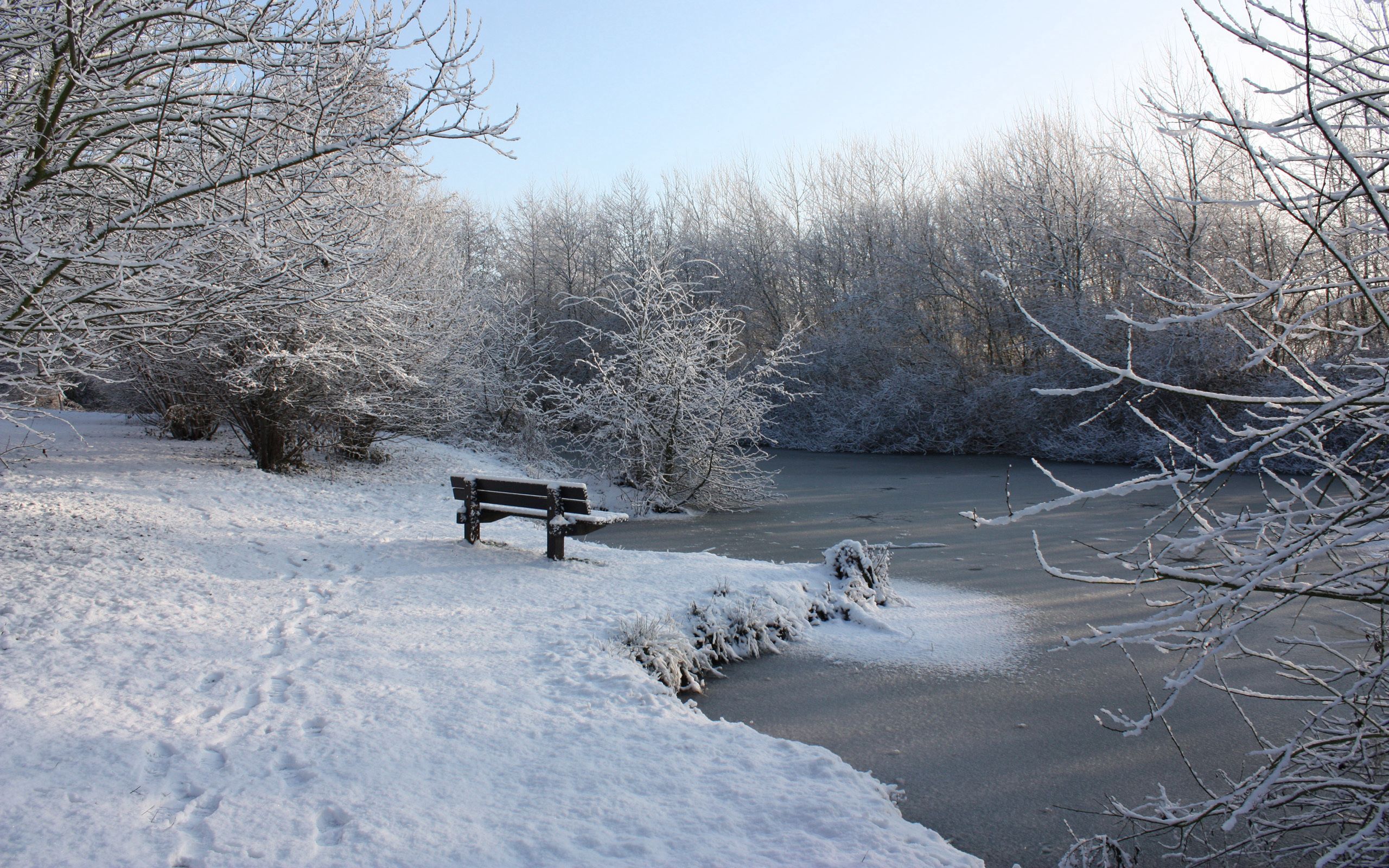lake, nature, winter, ice, snow, branches, frost, hoarfrost, bench, traces HD wallpaper
