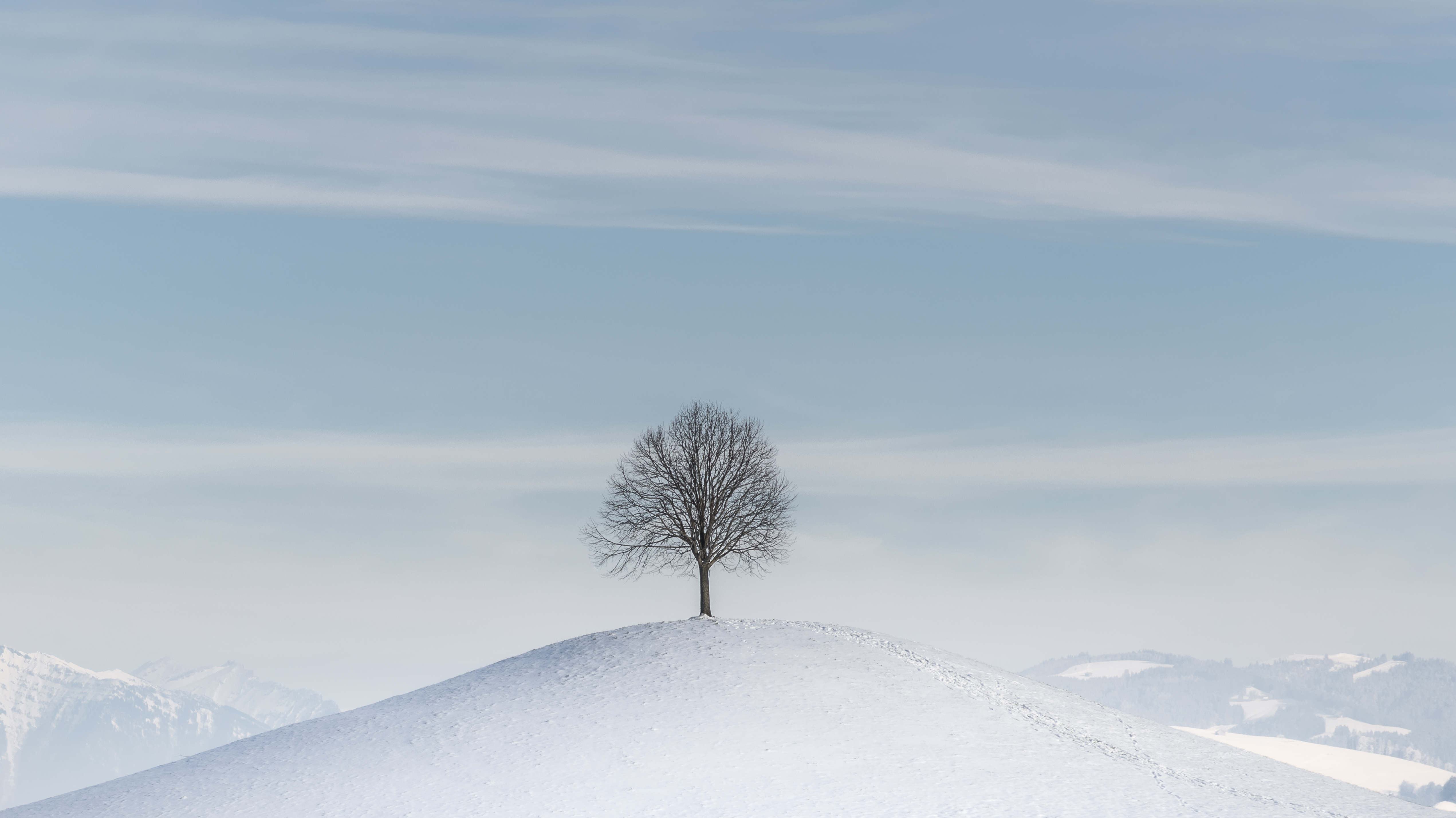 Download mobile wallpaper Winter, Snow, Wood, Hill, Tree, Minimalism for free.