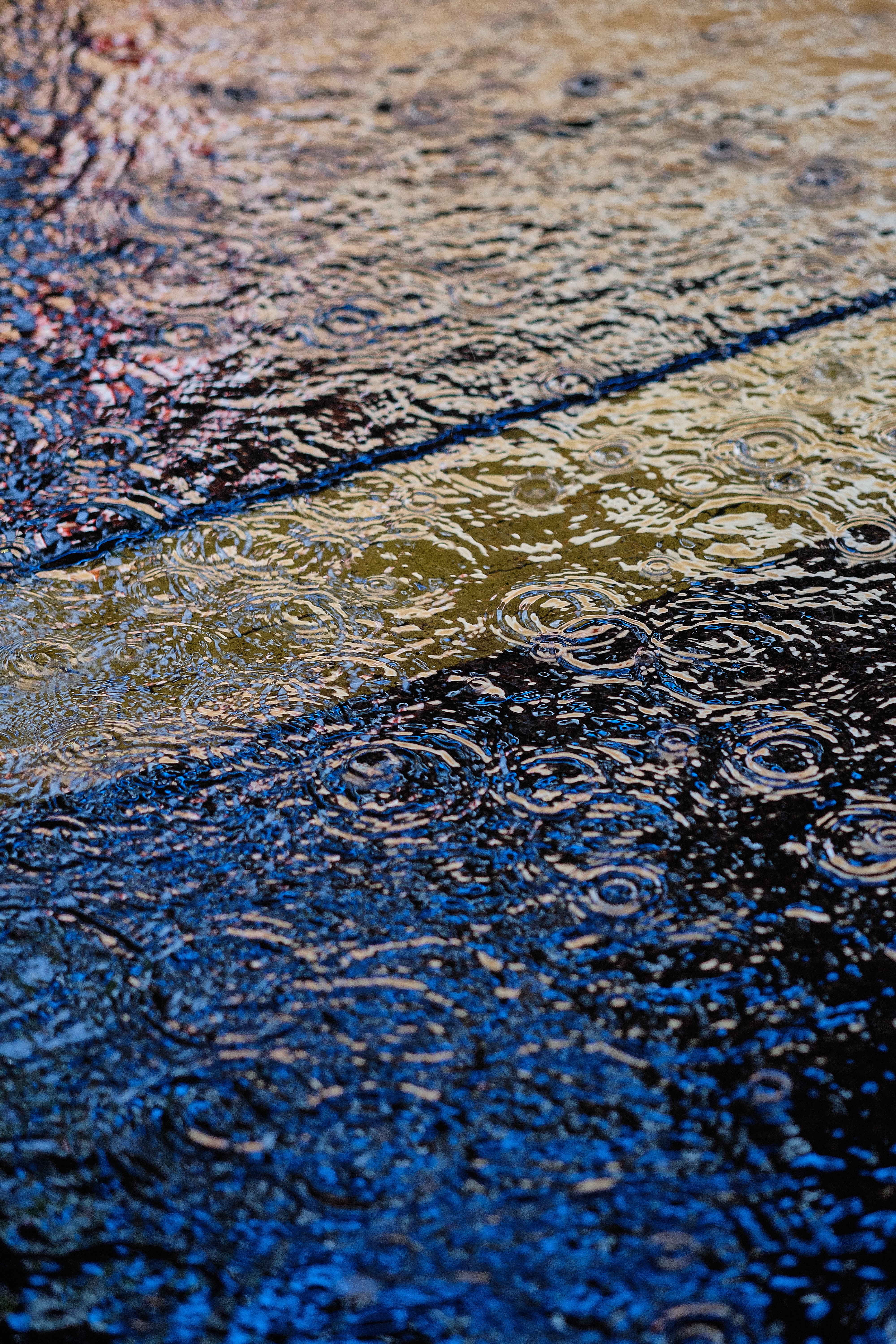 miscellanea, water, waves, miscellaneous, ripples, ripple, surface, puddle, raindrops