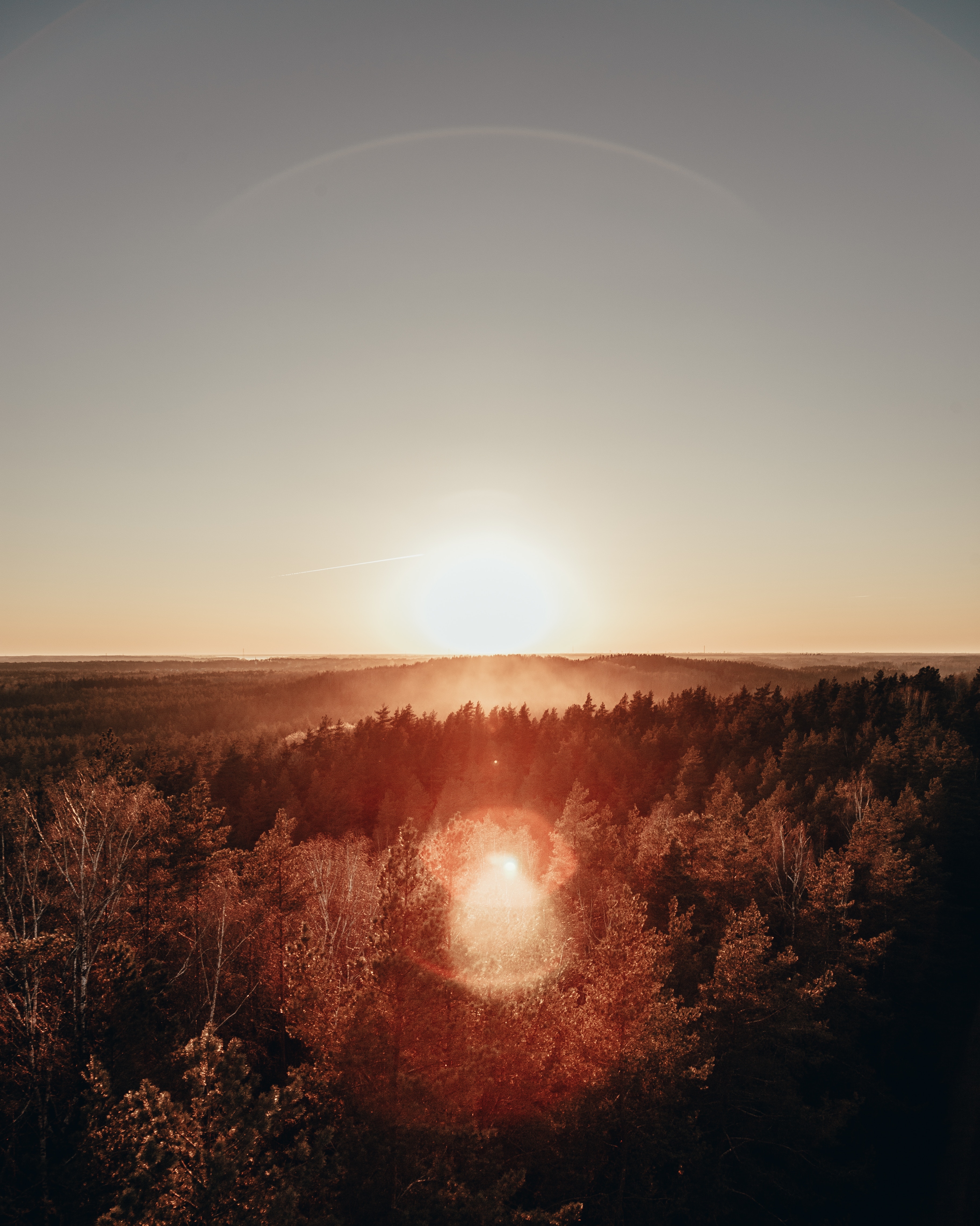 Laden Sie das Natur, Sun, Blick Von Oben, Horizont, Blendung, Wald, Nebel, Morgendämmerung-Bild kostenlos auf Ihren PC-Desktop herunter