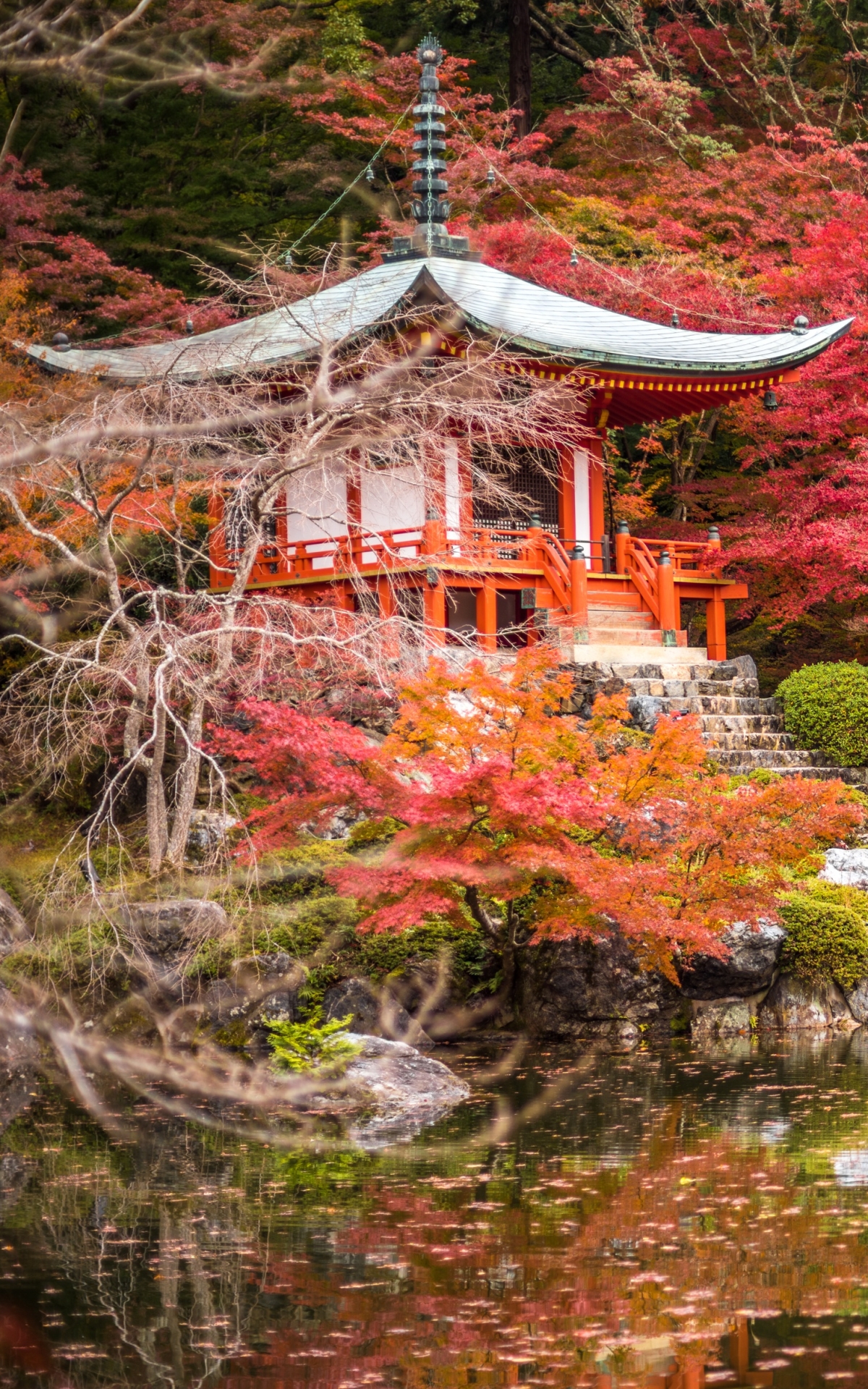 Download mobile wallpaper Nature, Park, Pagoda, Japan, Temples, Kyoto, Shrine, Religious, Japanese Garden, Daigo Ji for free.
