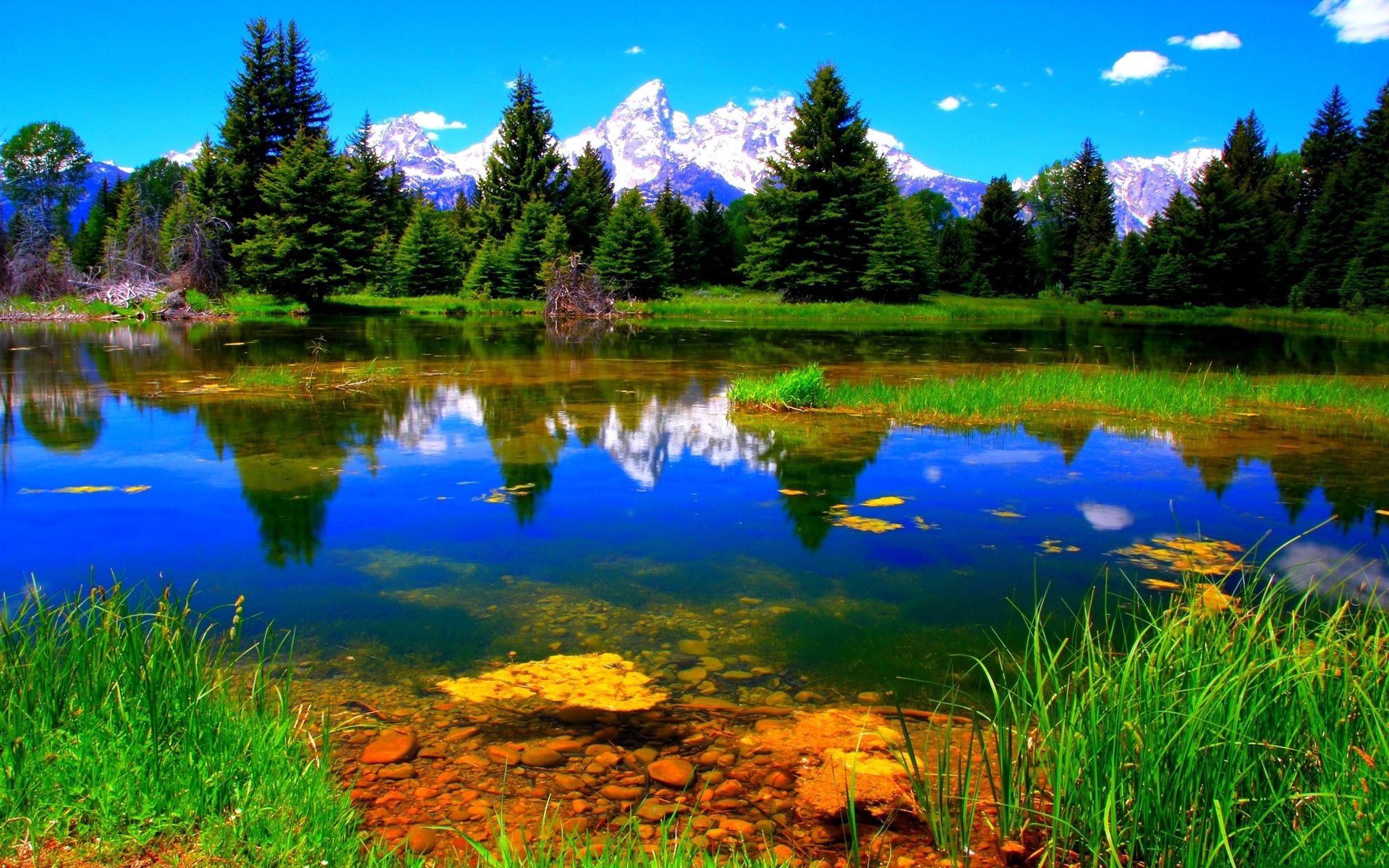 132857 descargar fondo de pantalla paisaje, naturaleza, verde, lago, vegetación: protectores de pantalla e imágenes gratis