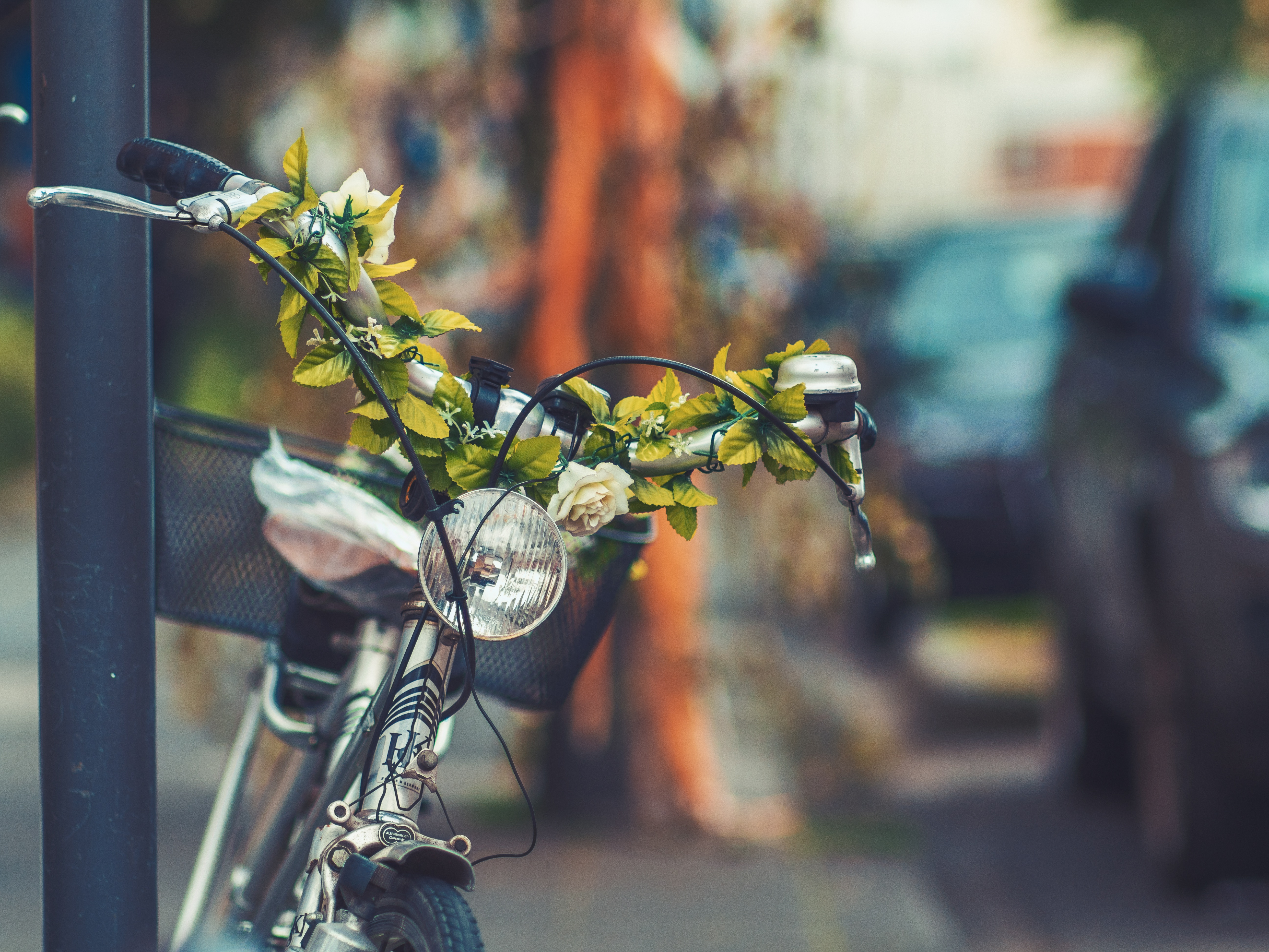 Download mobile wallpaper Miscellaneous, Flowers, Bicycle, Headlight, Miscellanea for free.